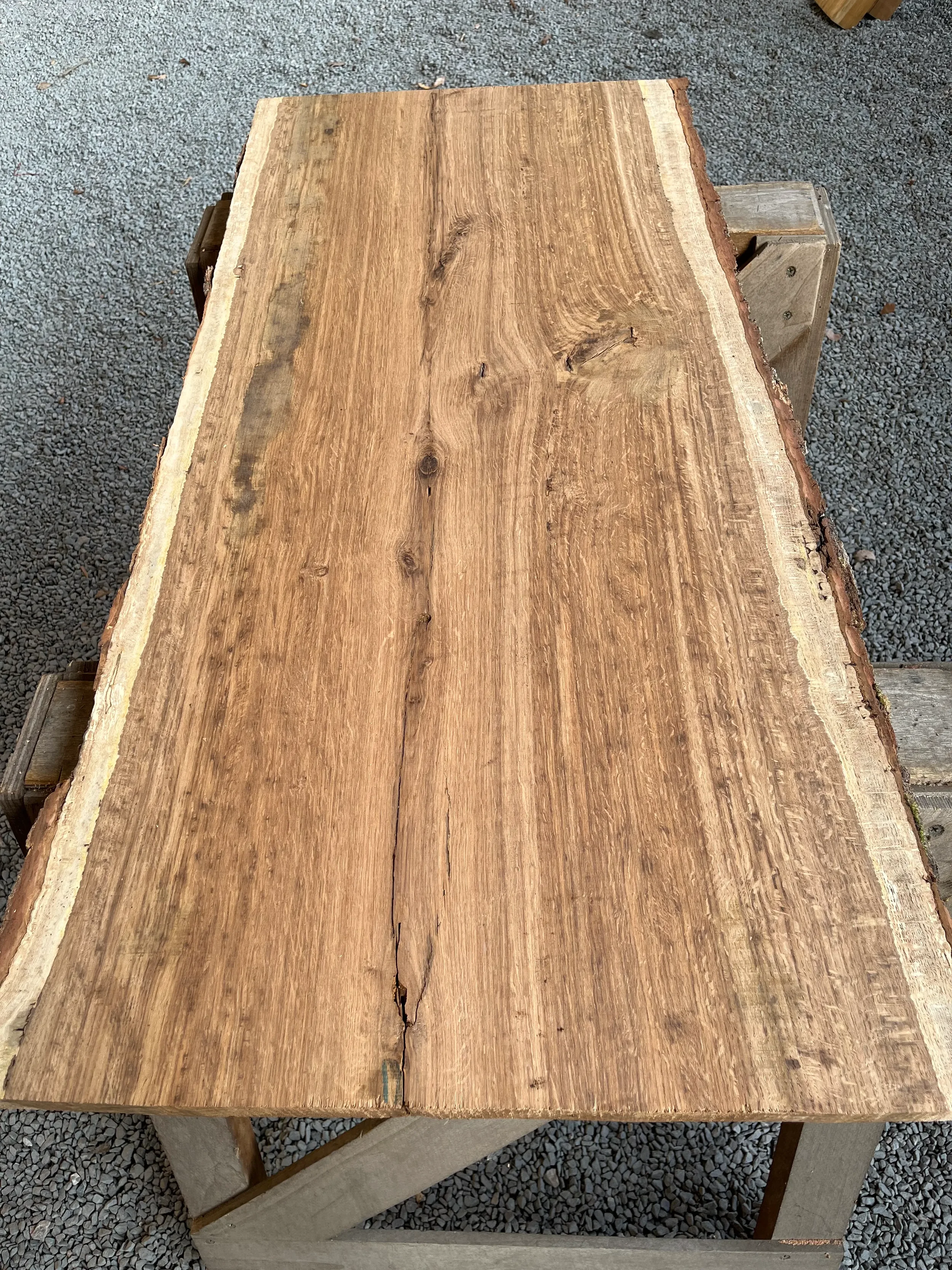 brown oak tt000462.1.webp