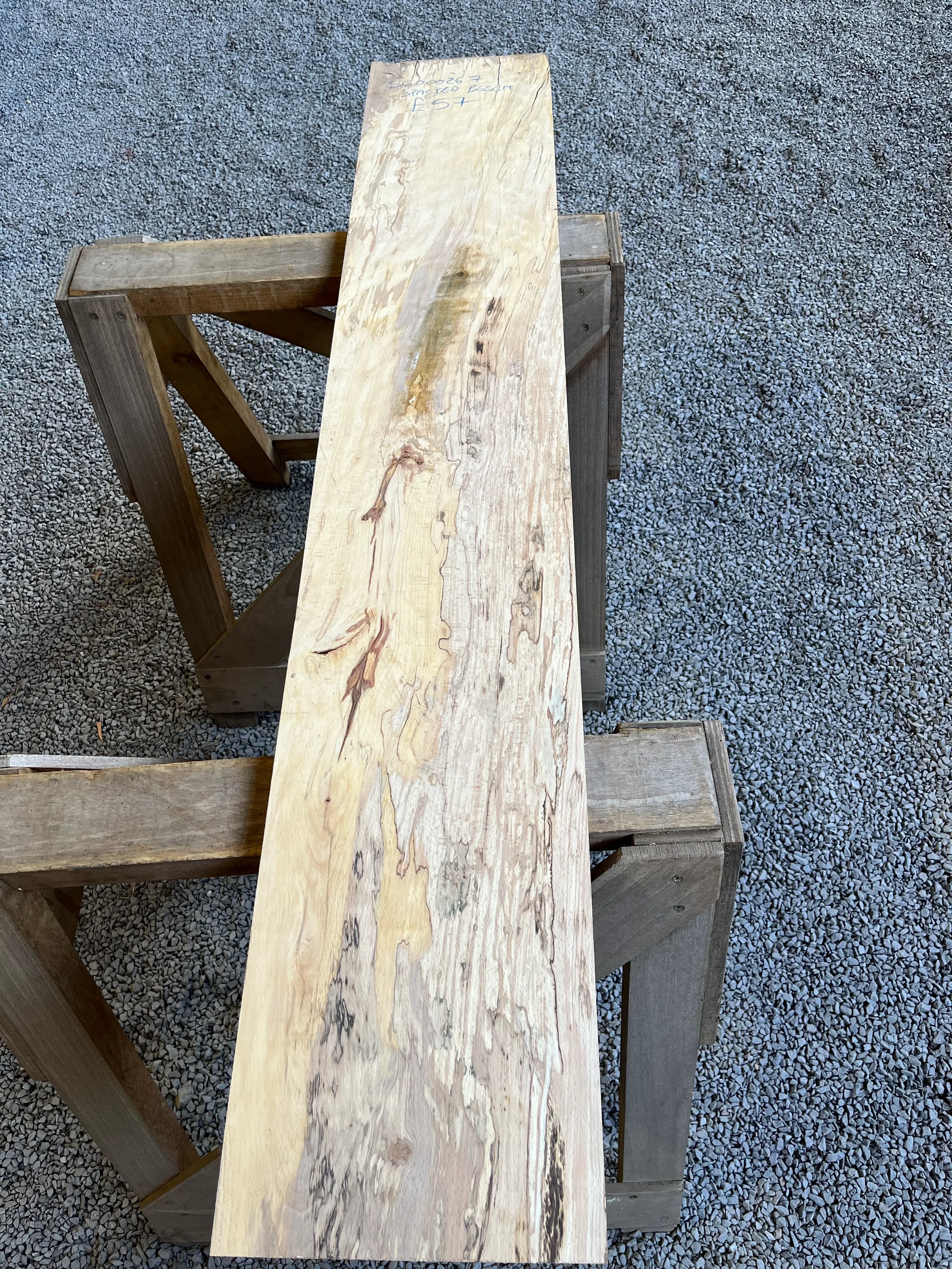 spalted beech se267.webp