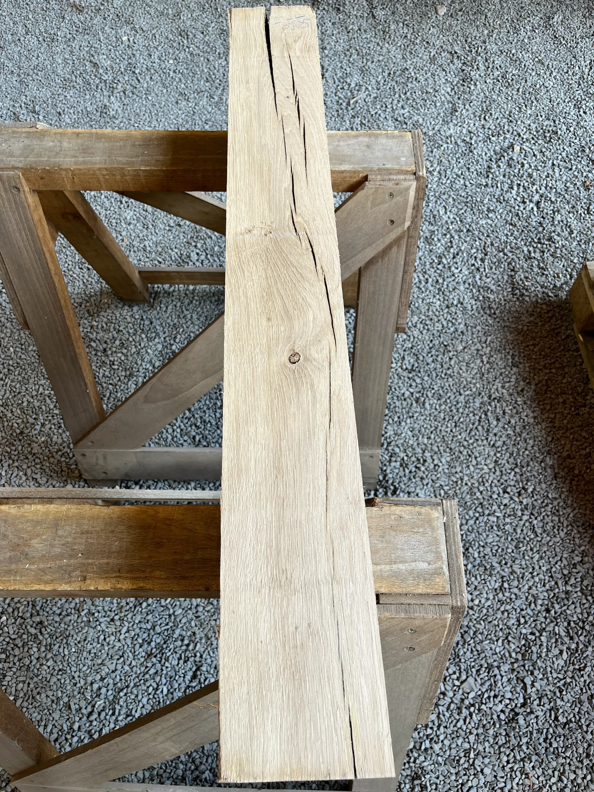 mantle se000311.1.webp