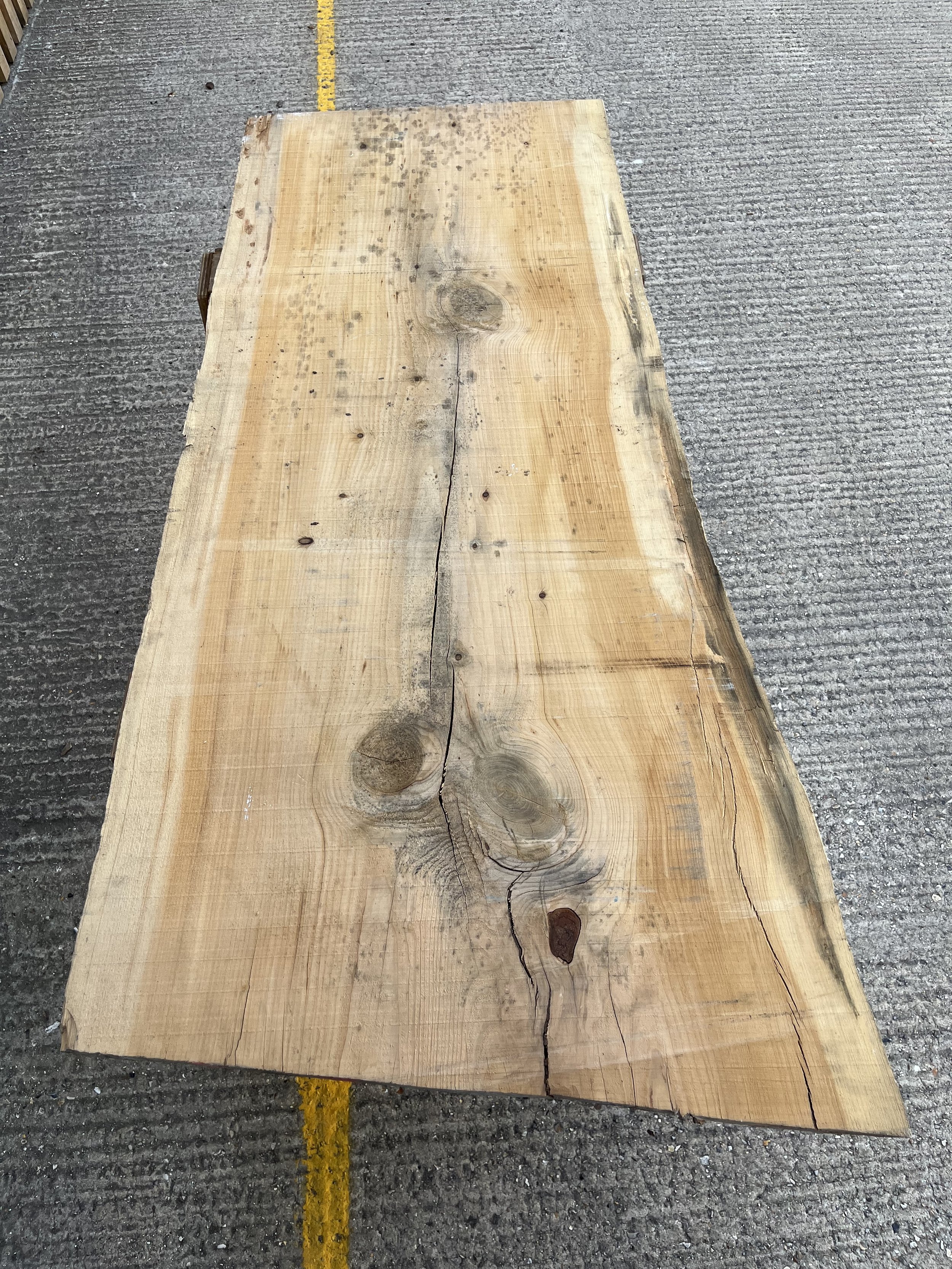 Cedar of Lebanon one live one square edge board tt000135.1.jpeg