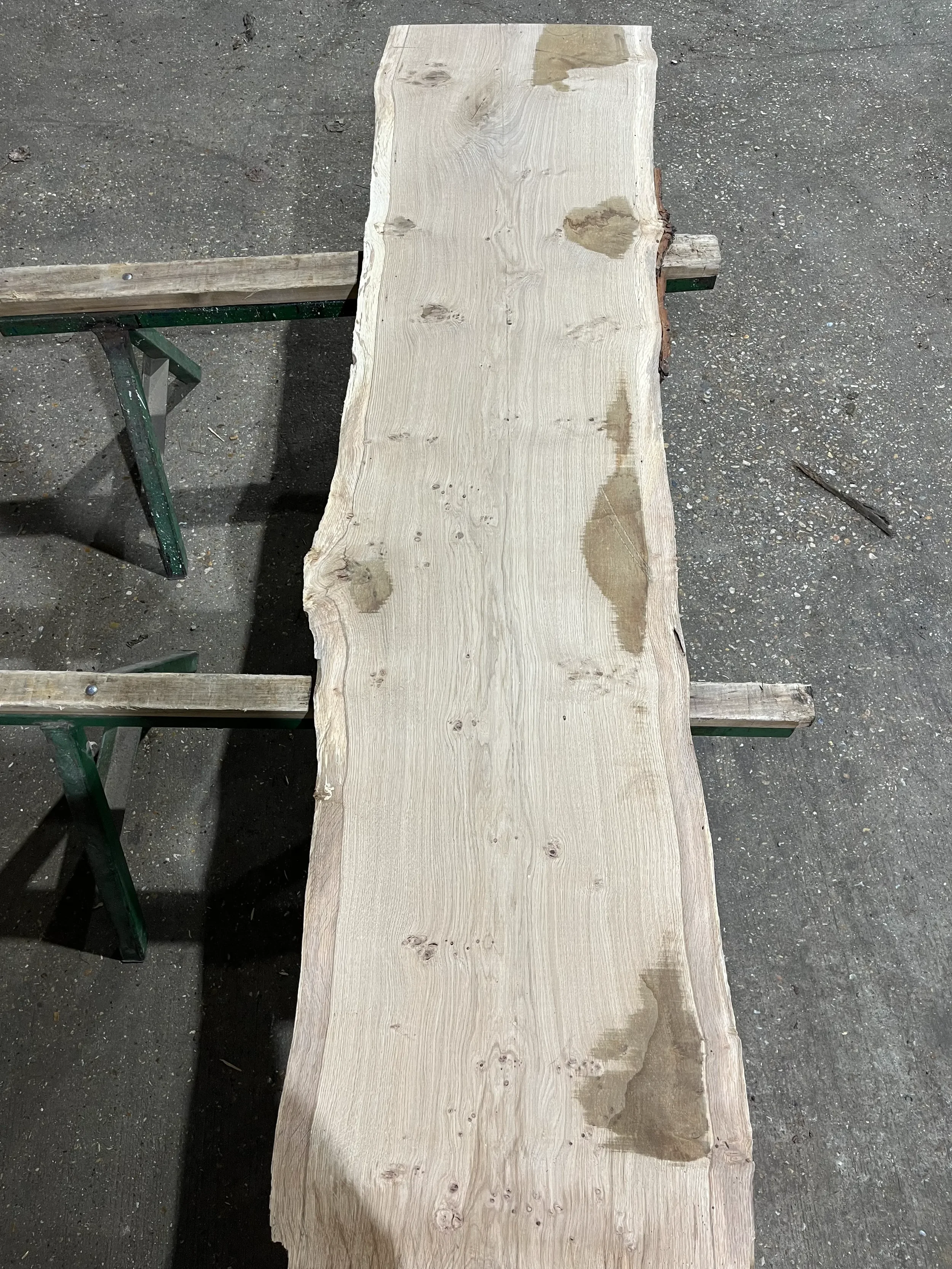 pippy tt000357.1.webp