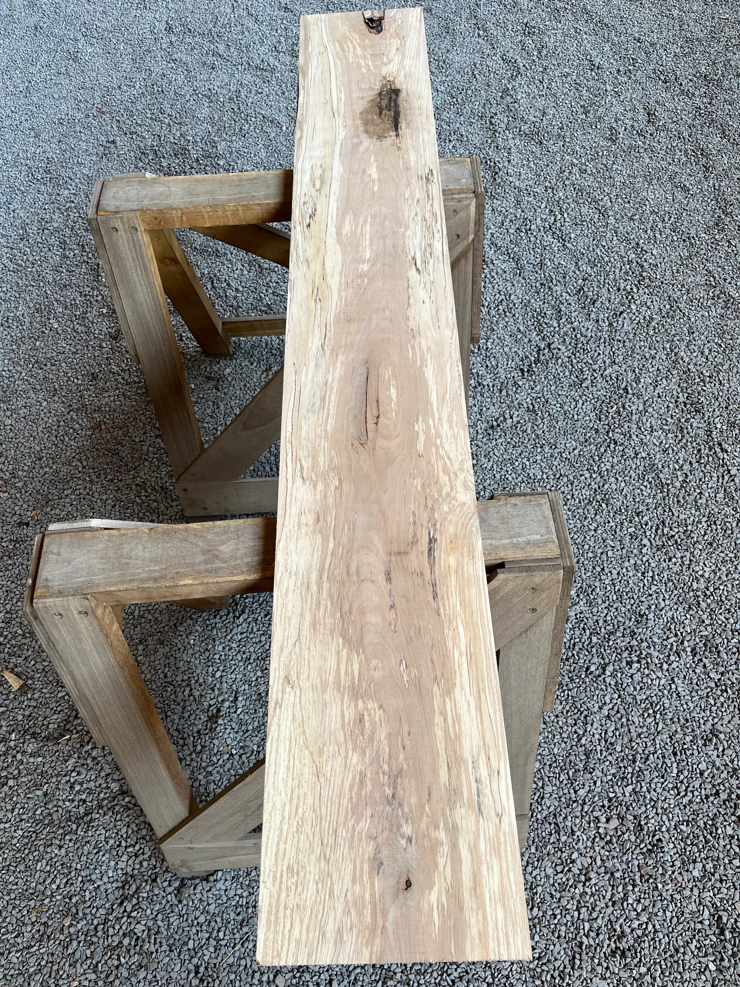 spalted beech se237.1.webp