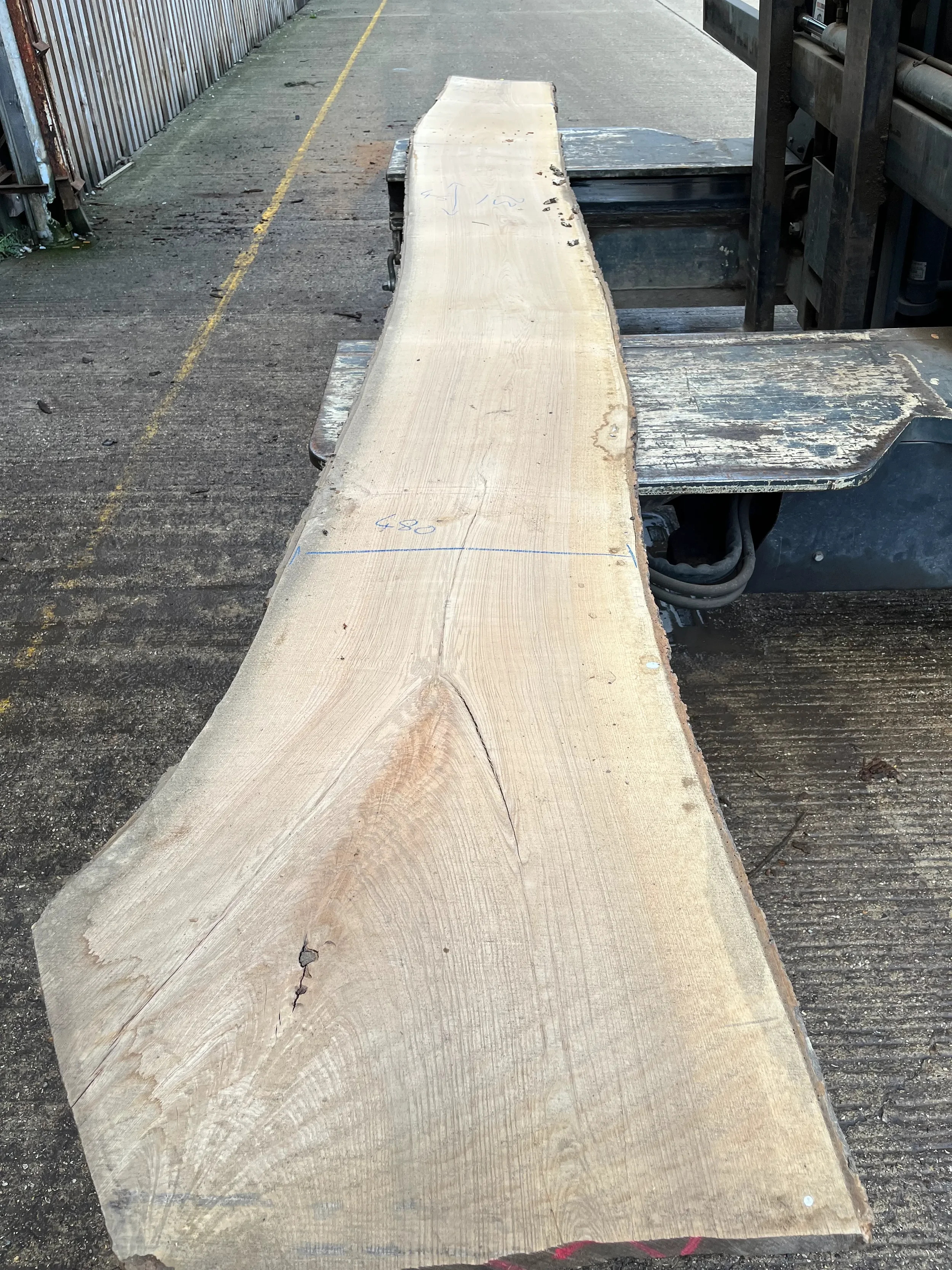 Ash live edge board 206511 2.webp
