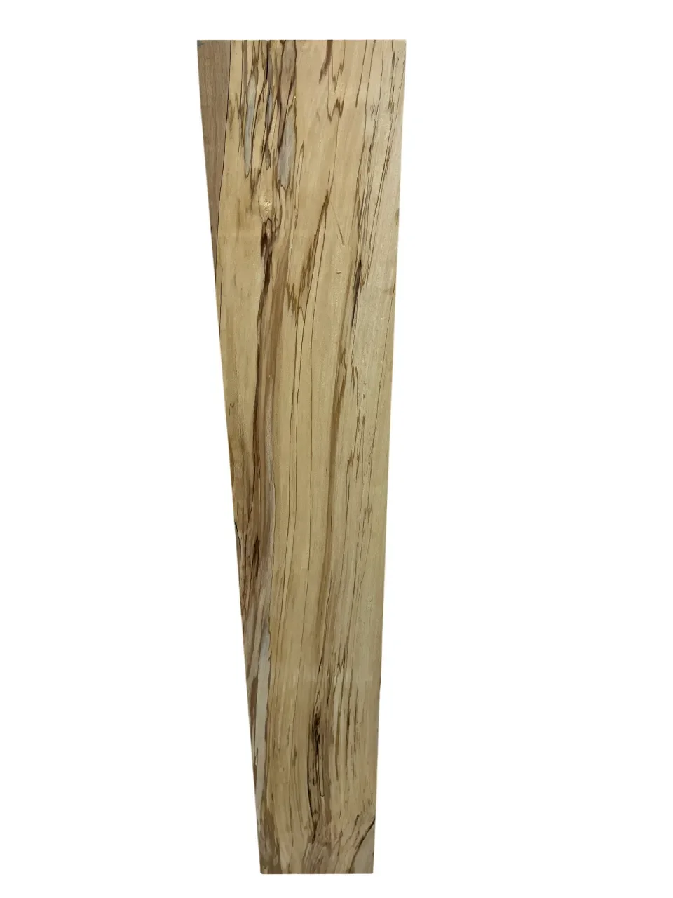 Spalted beech board se000194 back.webp