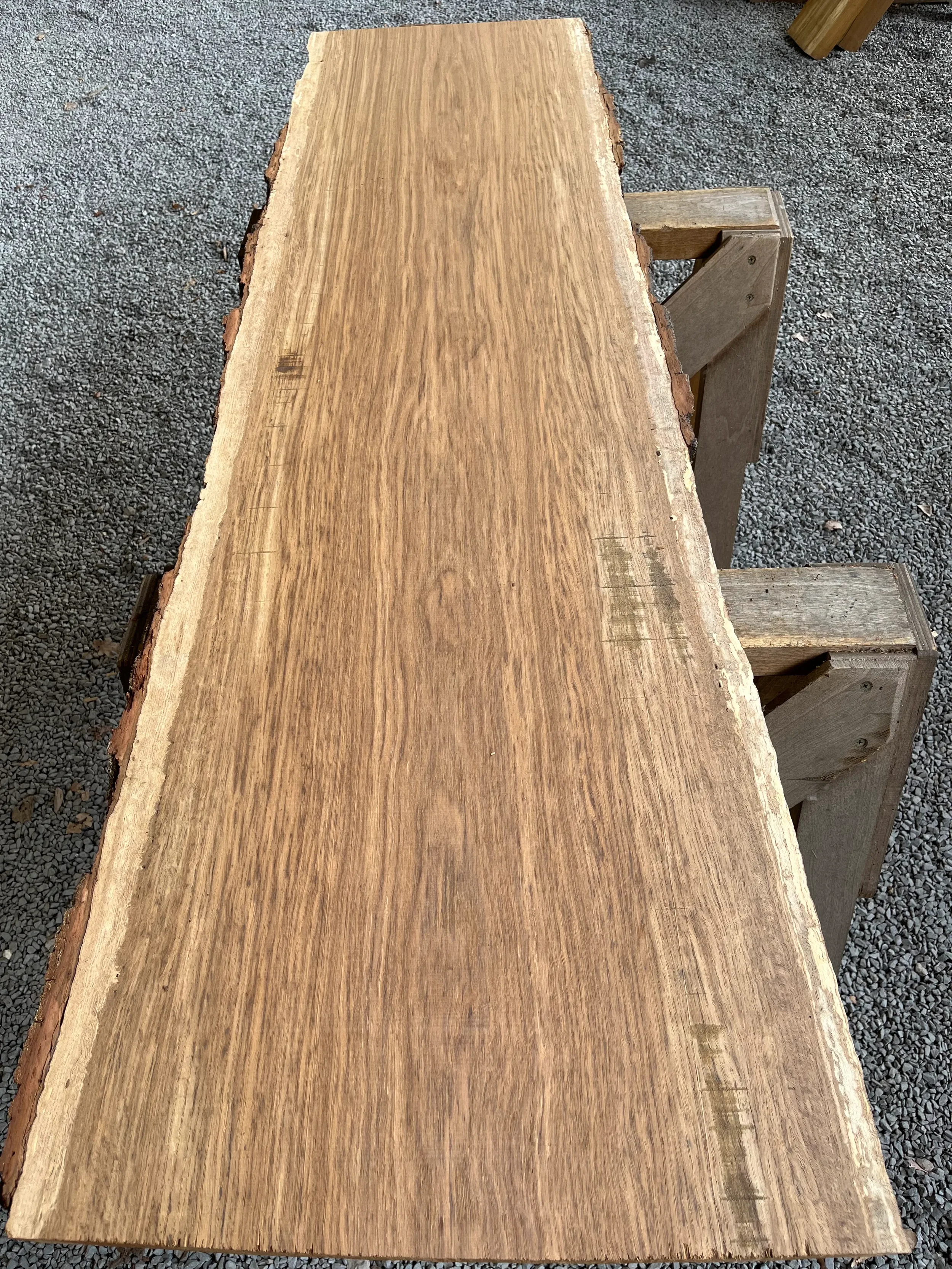 brown oak tt000473.1.webp