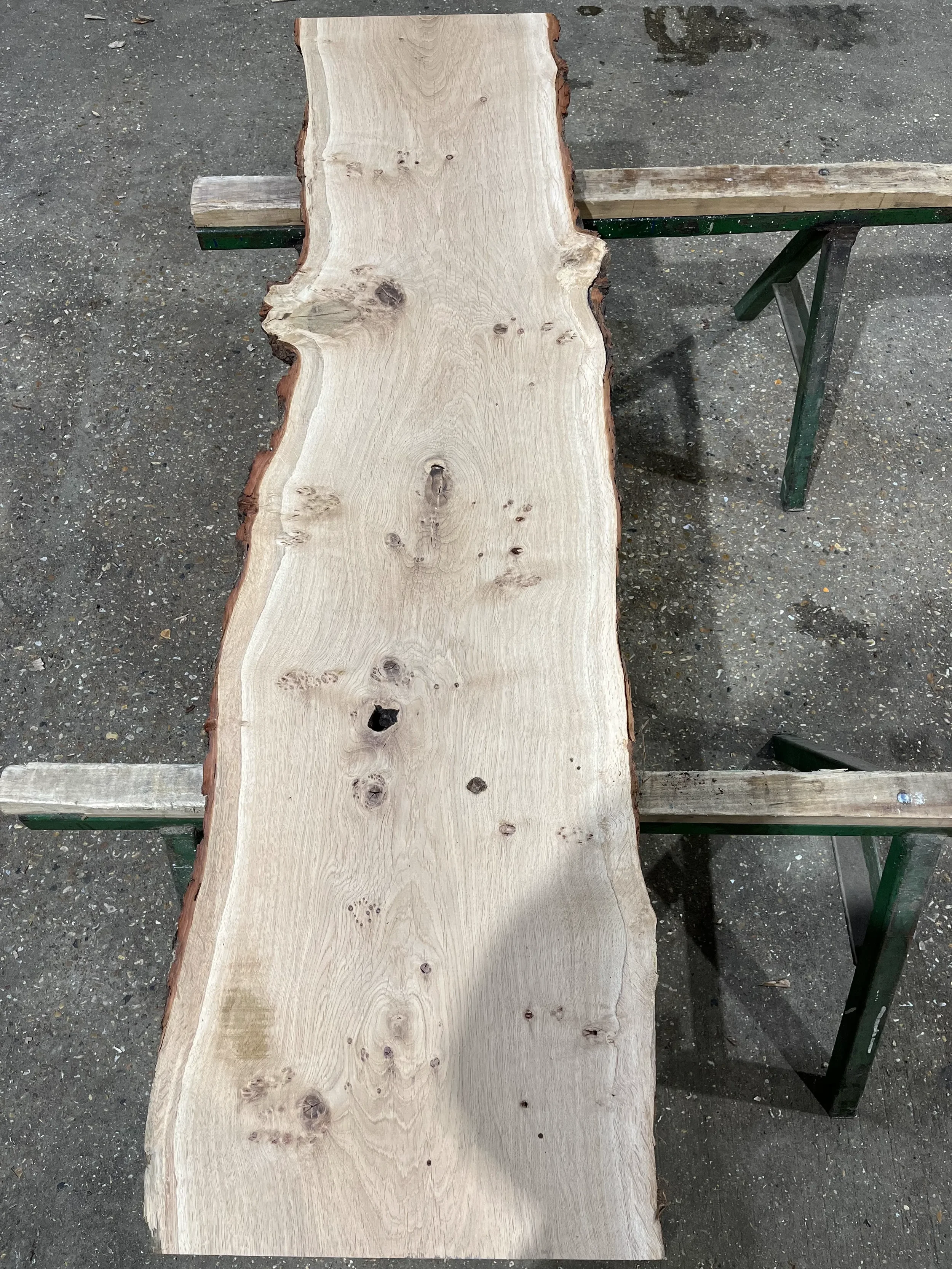 pippy tt000338.1.webp