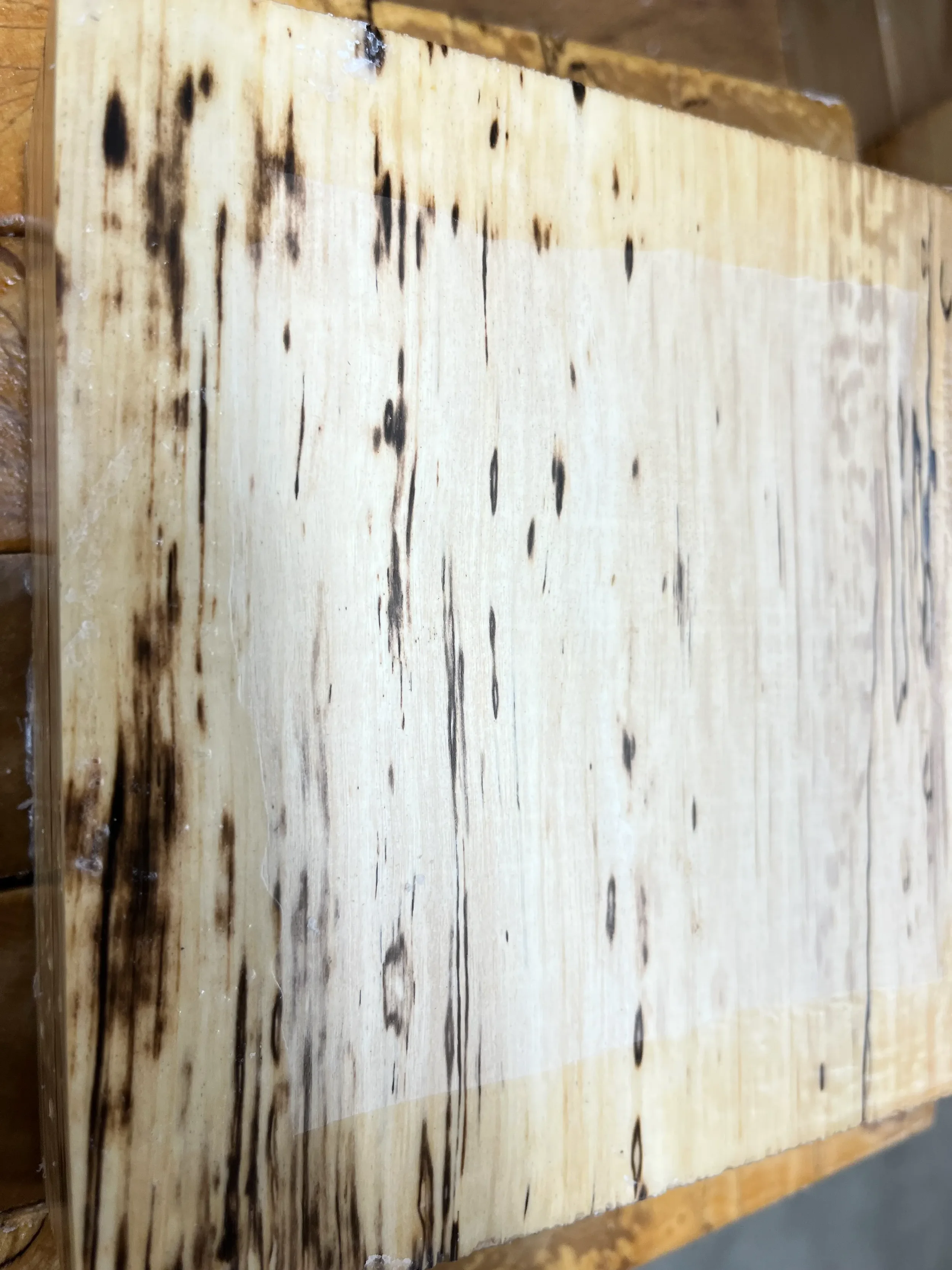 spalted hornbeam turning blank 2.webp