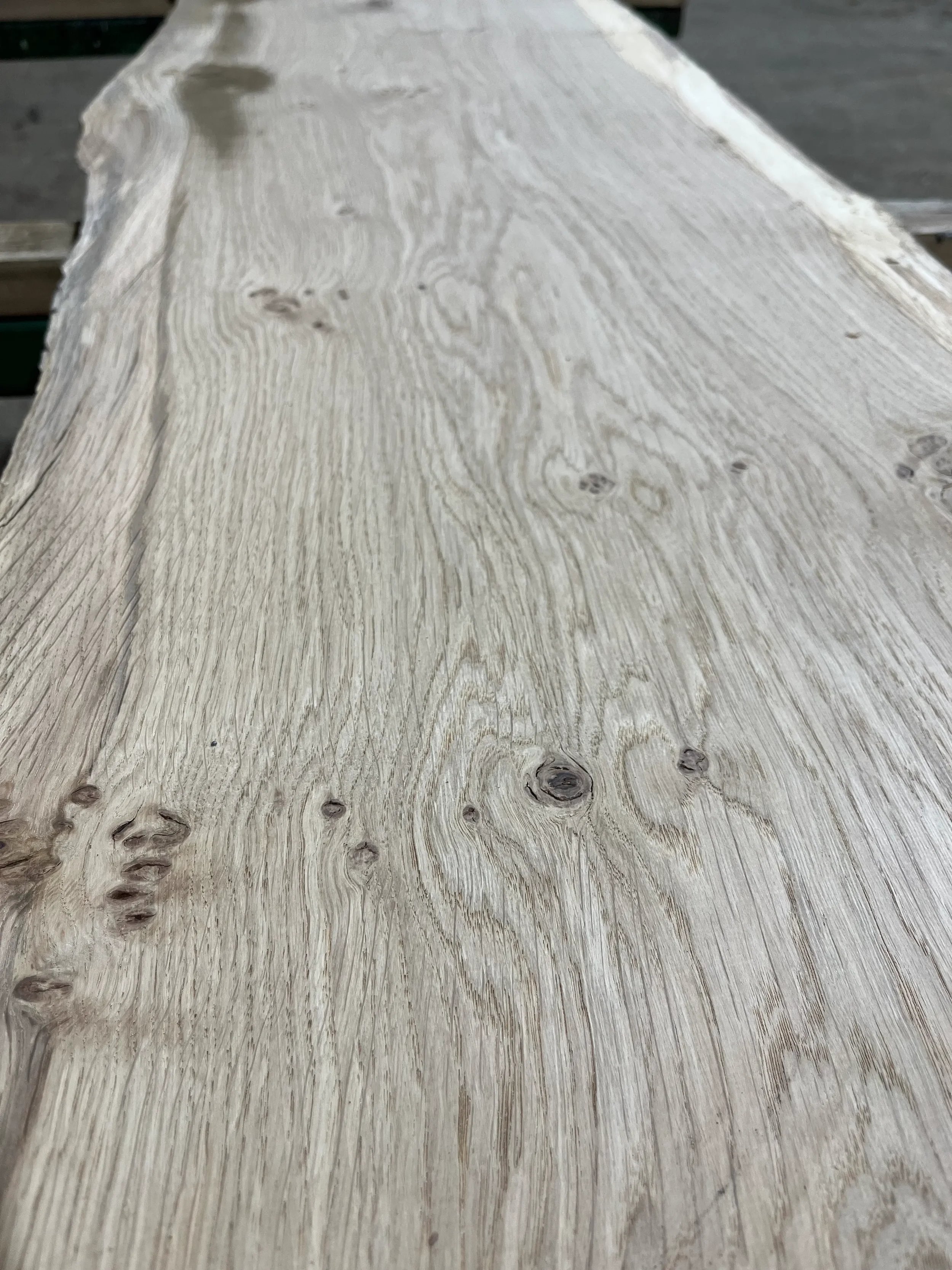 pippy tt000352.1.webp