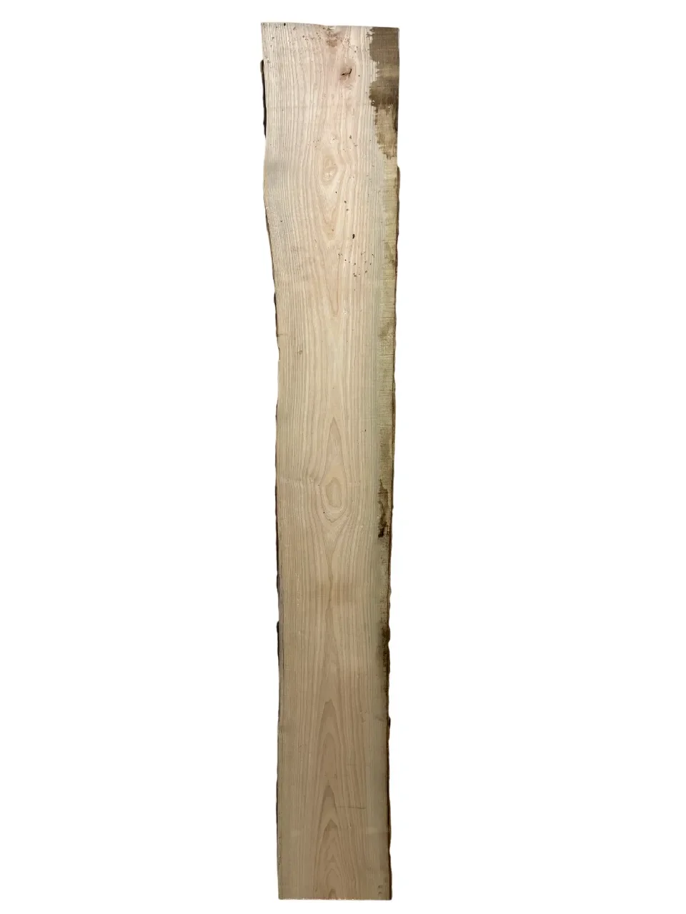 ash tt000323.1-Photoroom.webp