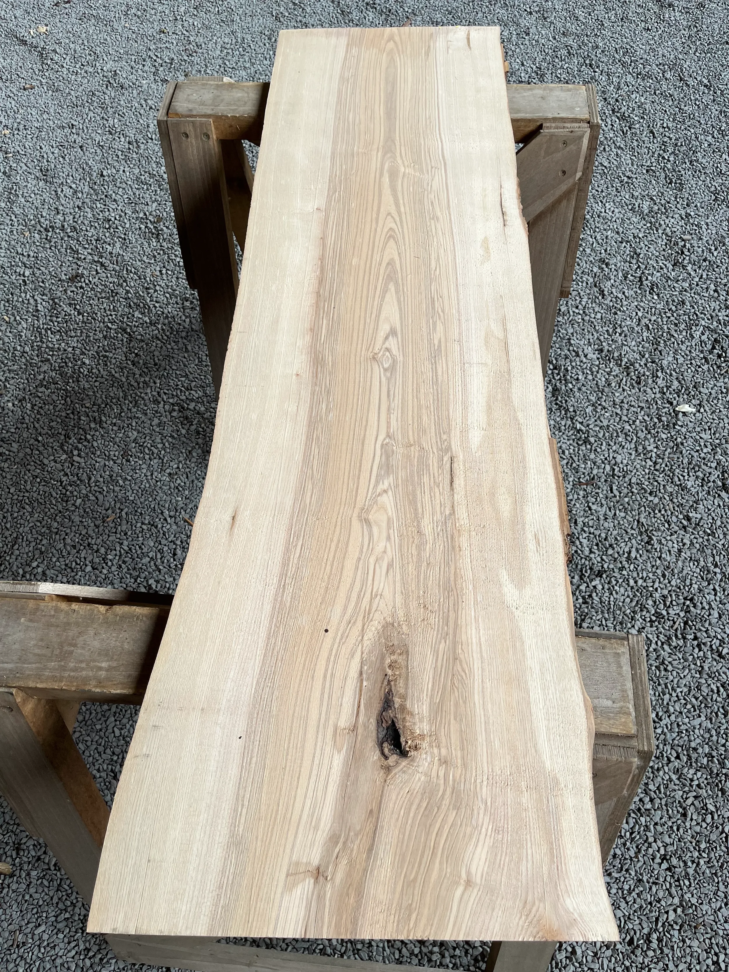 ash tt000415.1.webp
