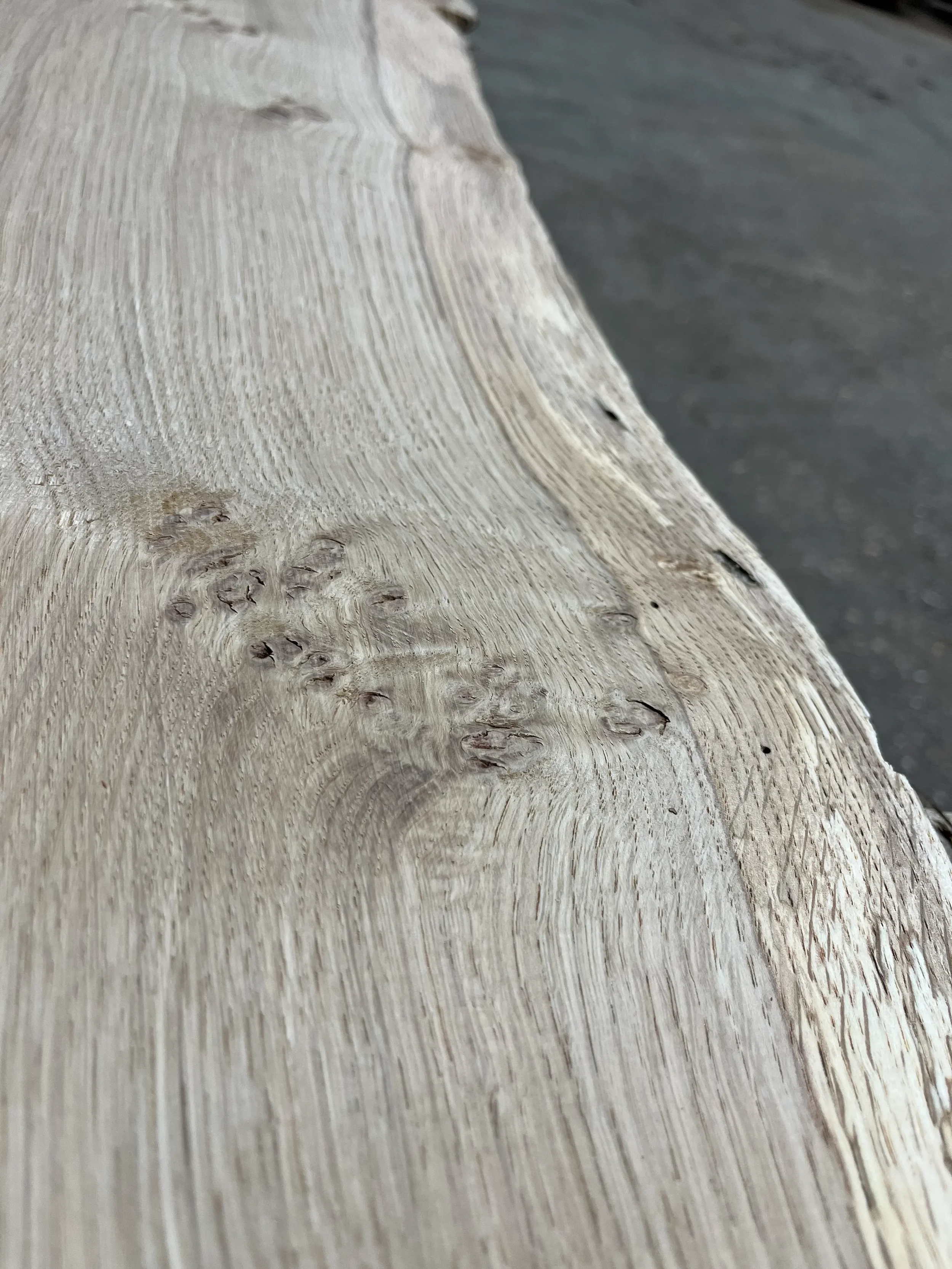 pippy tt000353.1.webp