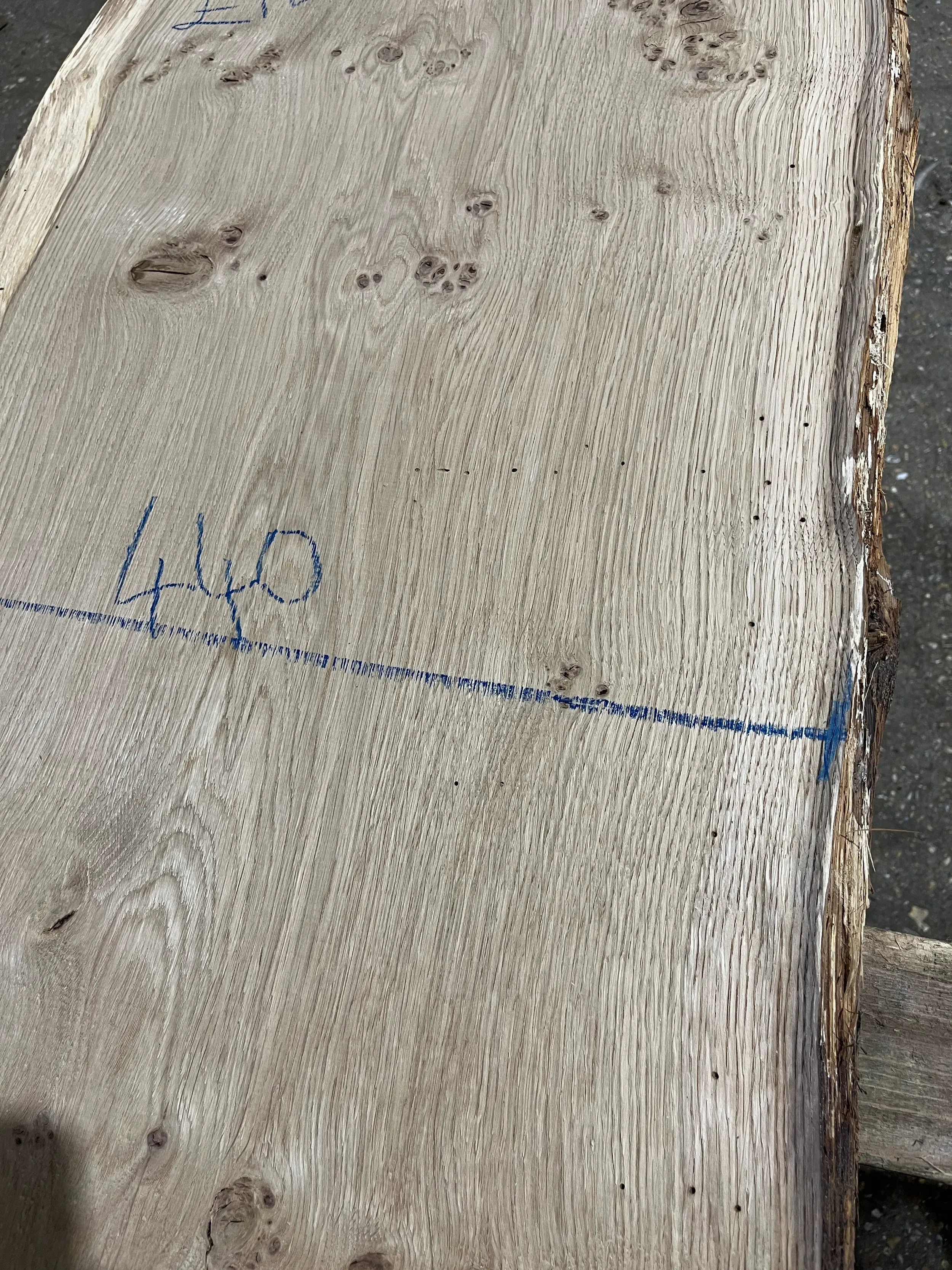 pippy tt000358.2.webp