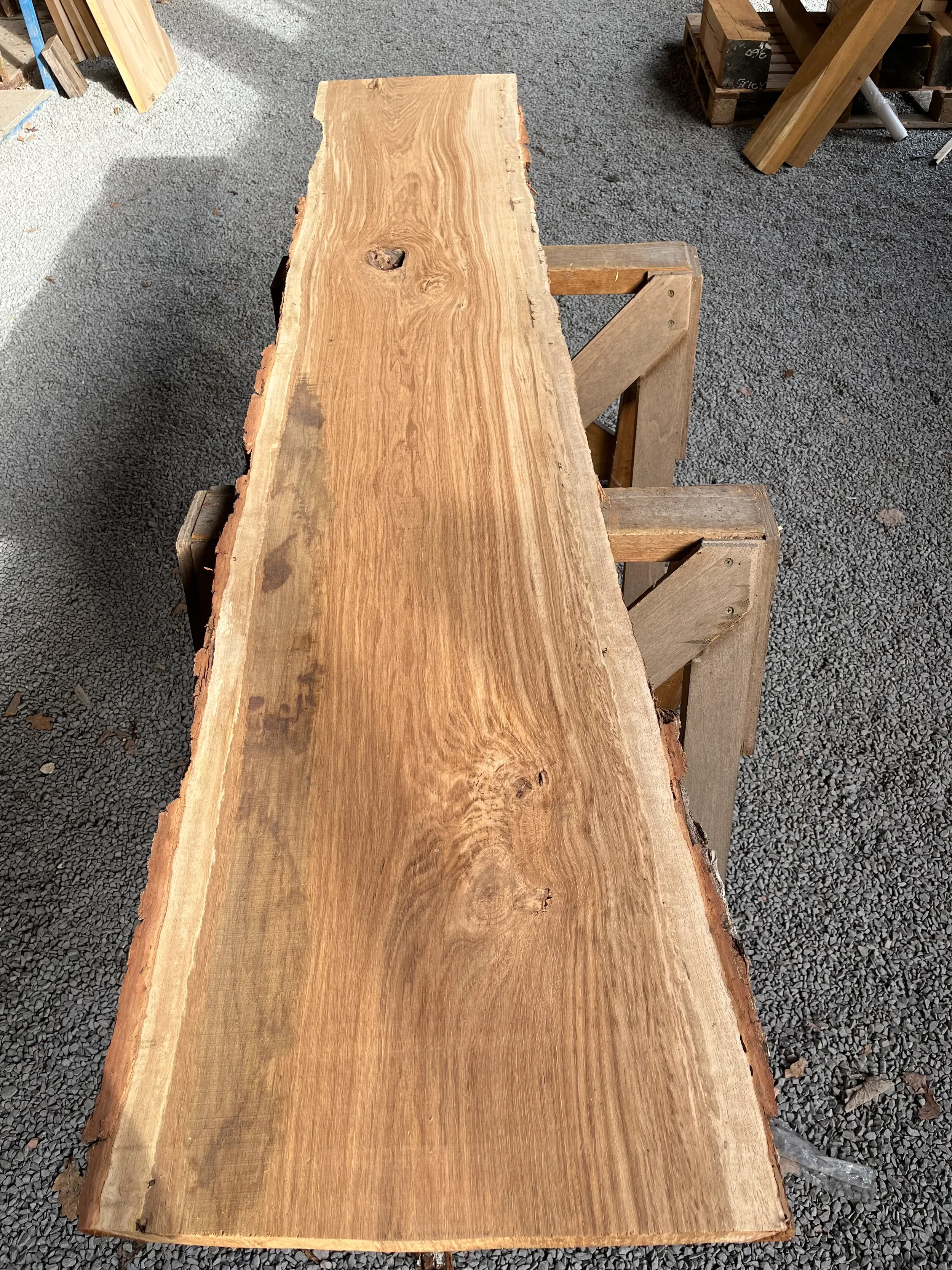 brown oak tt000469.1.webp