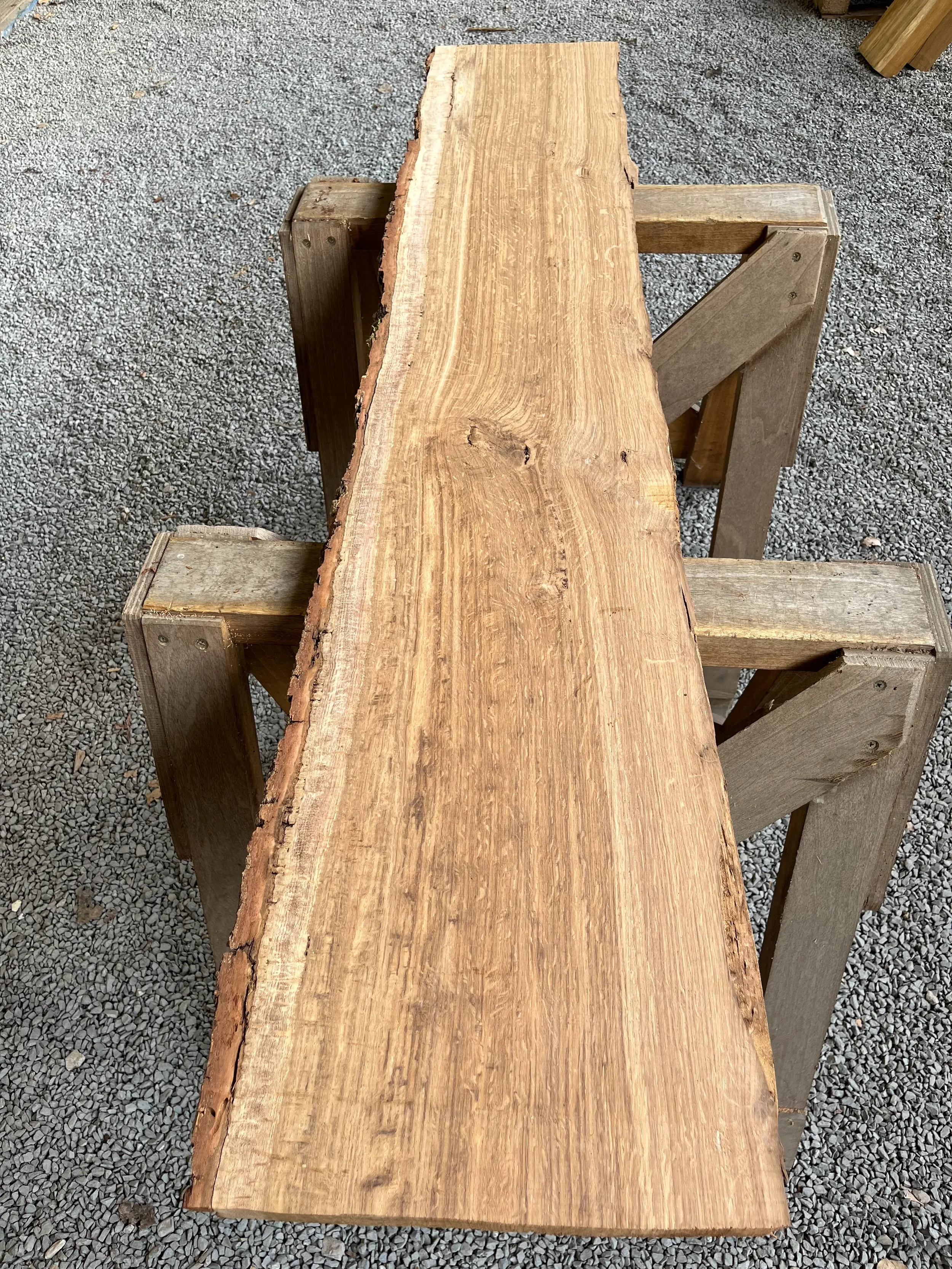 brown oak tt000472.1.webp