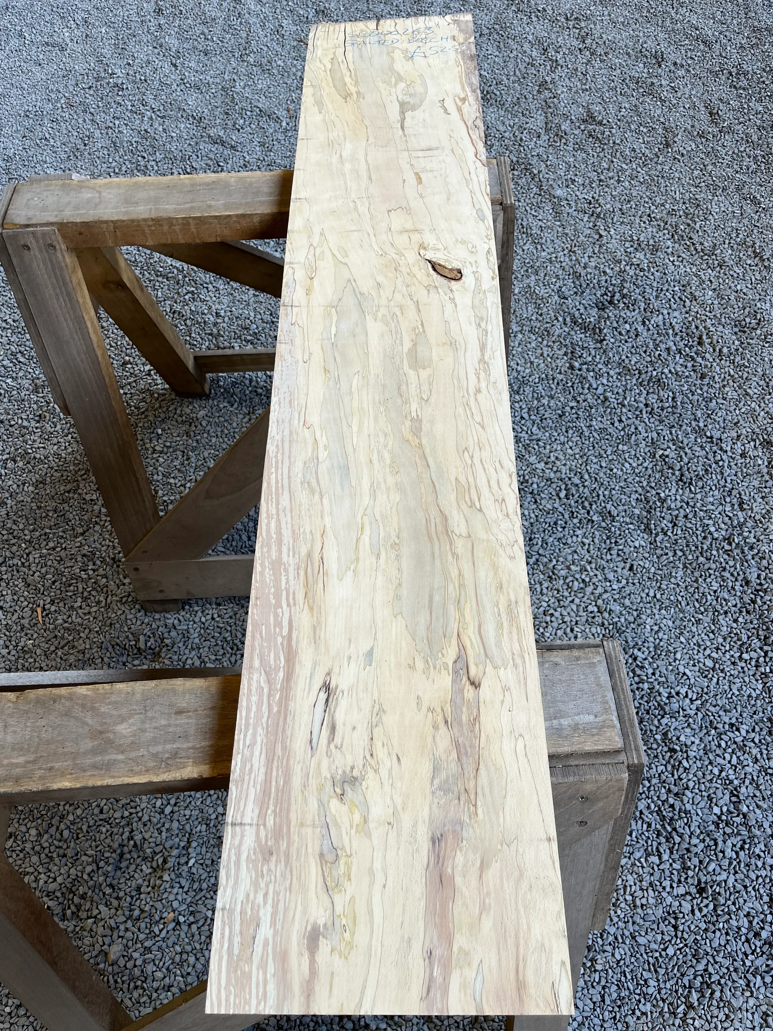 spalted beech se263.webp