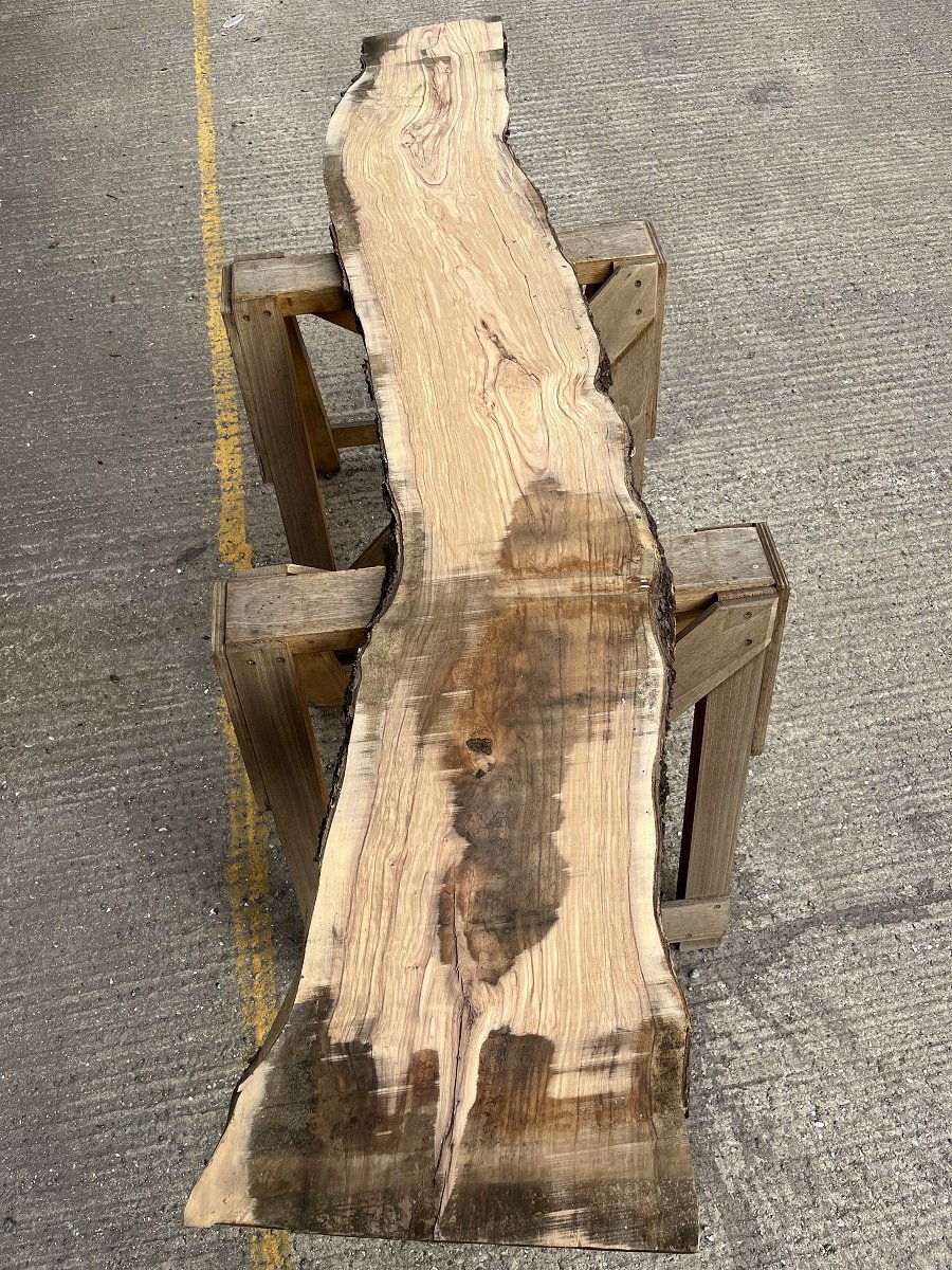 live edge olive tt000183.1.jpeg