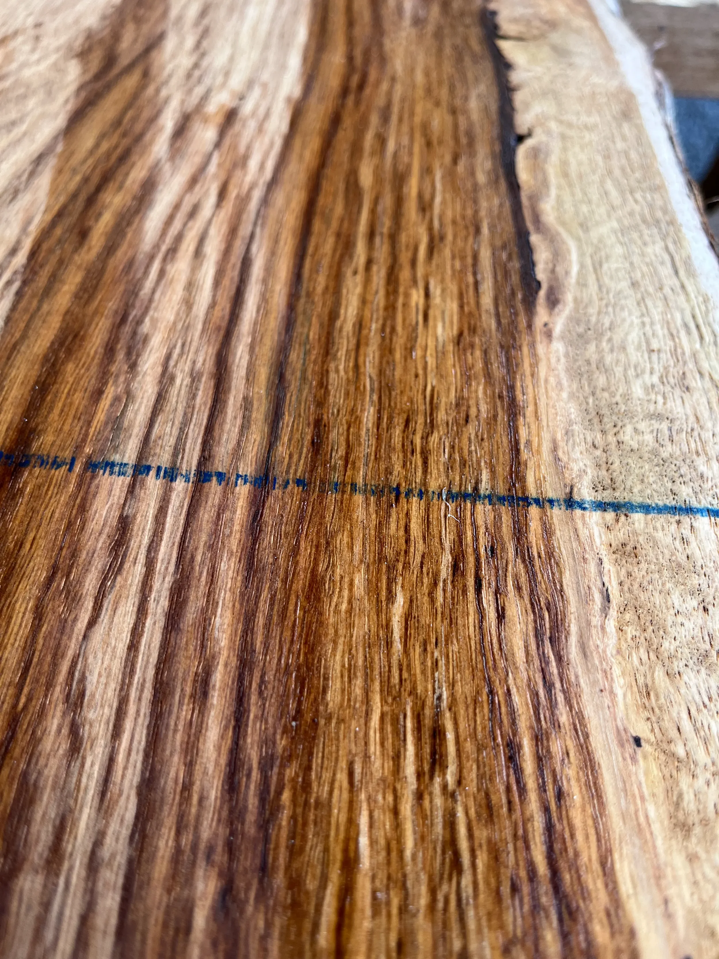 brown oak tt000475.2.webp