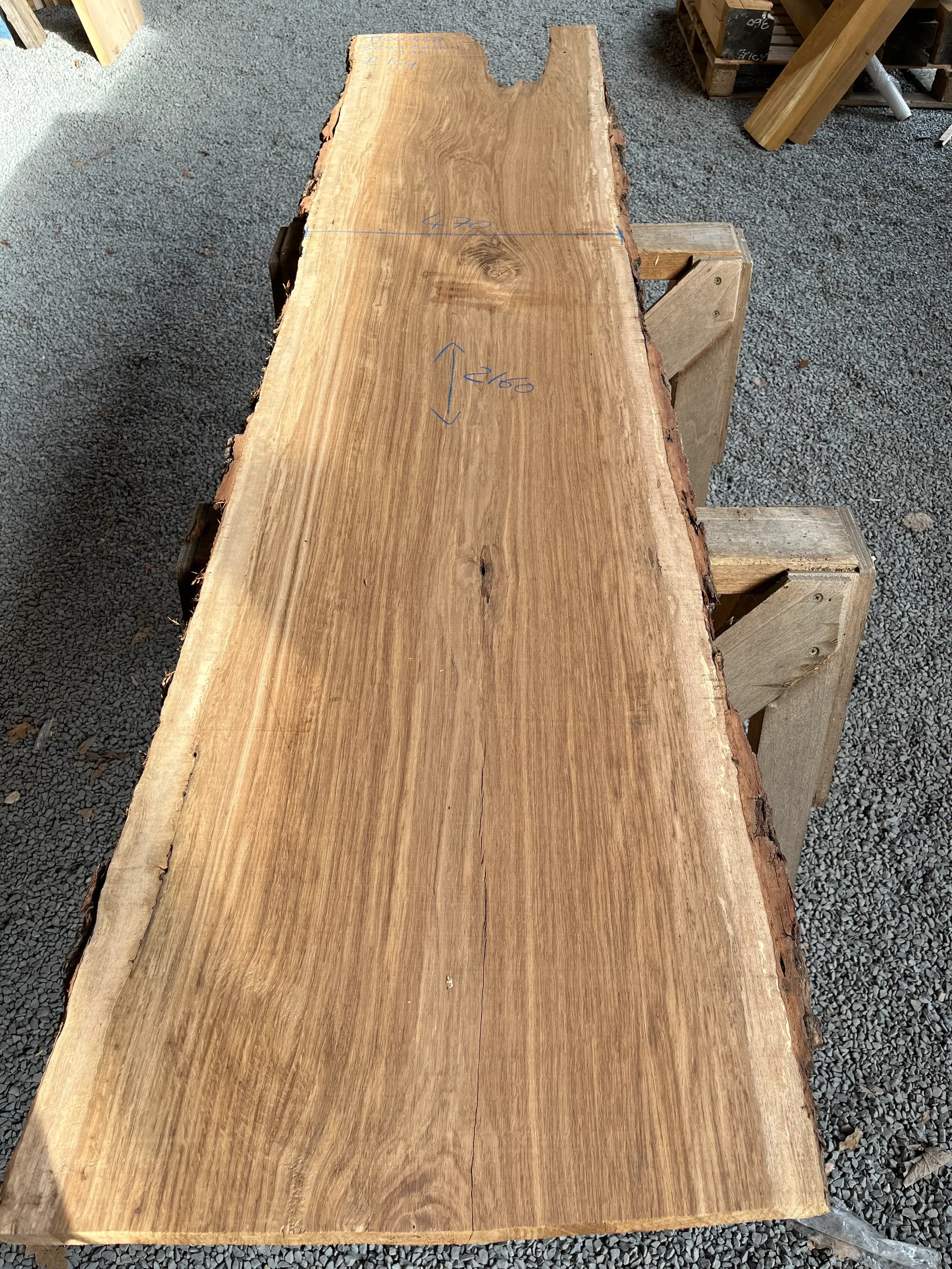 brown oak tt000468.webp