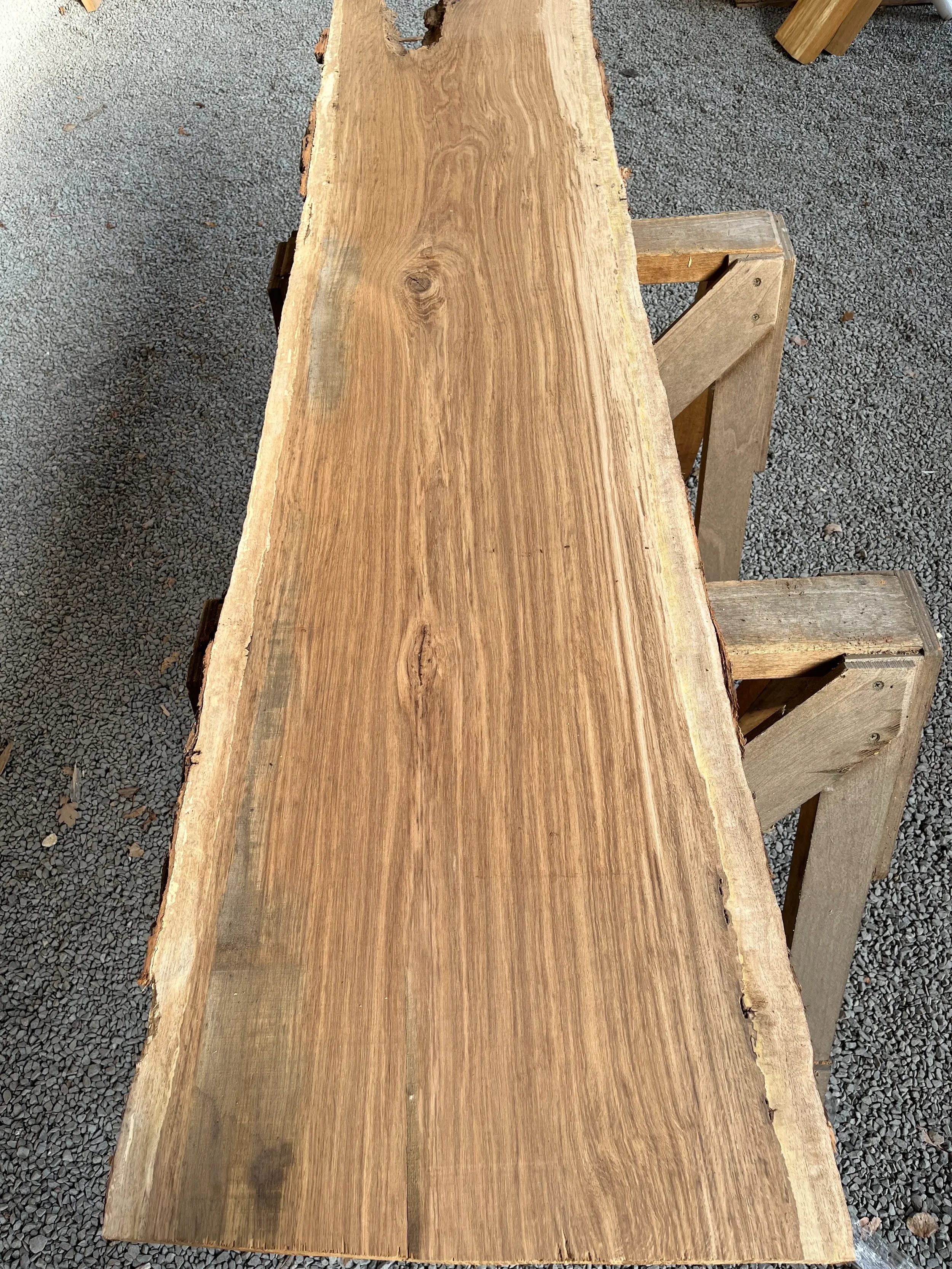 brown oak tt000467.1.webp