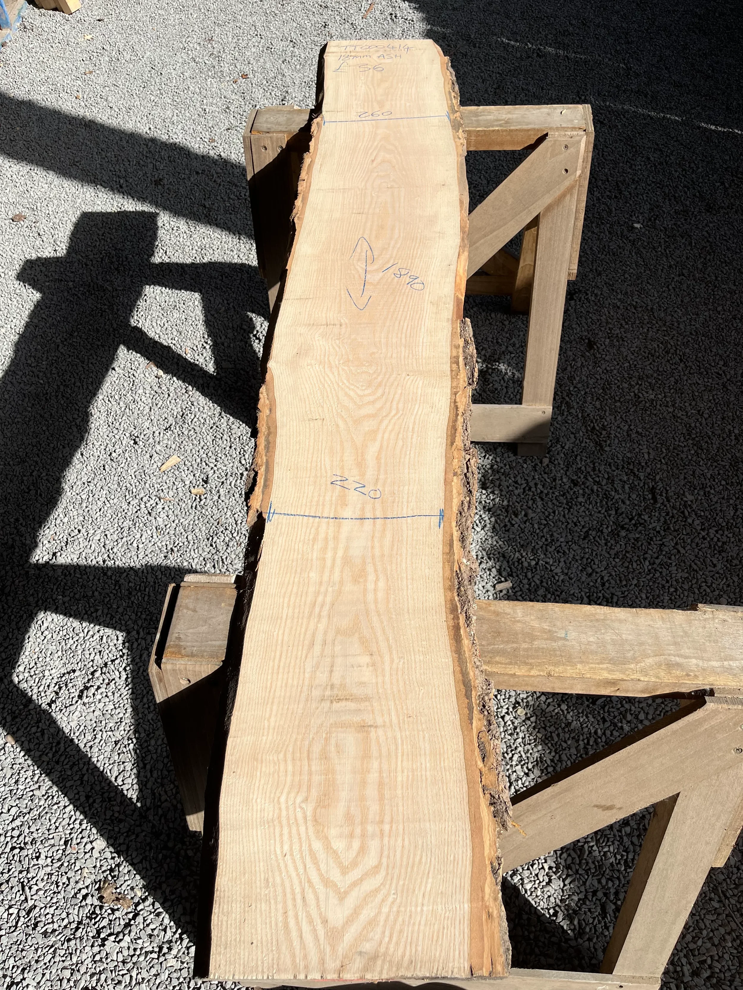 ash tt000414.1.webp