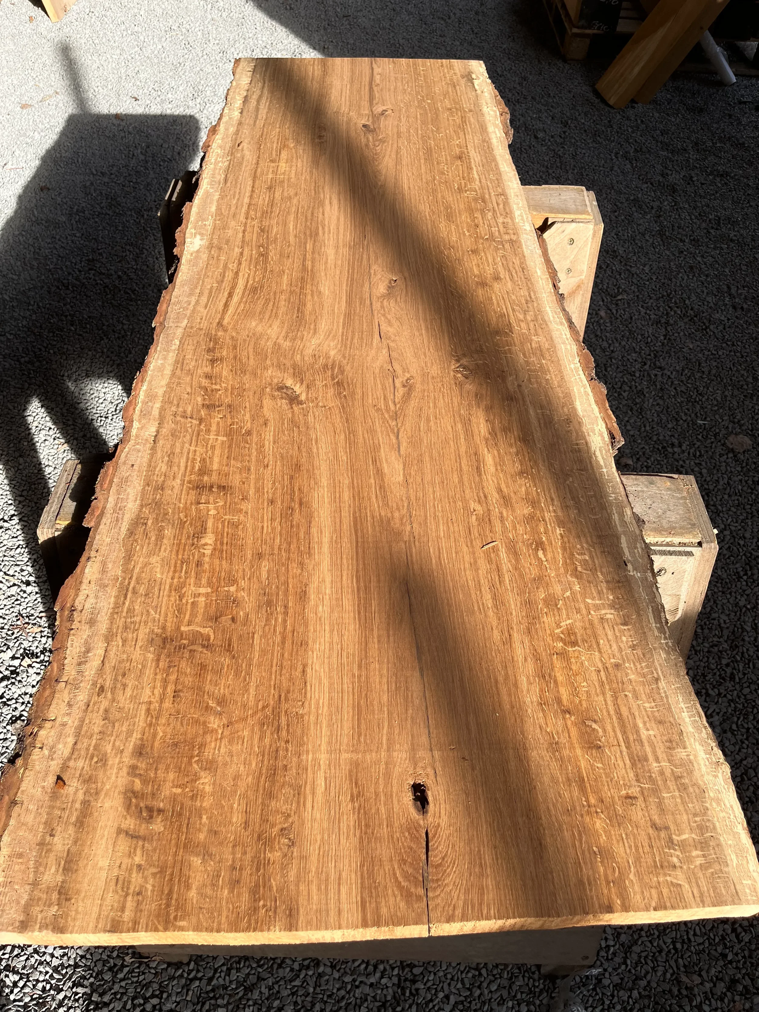 brown oak tt000471.1.webp