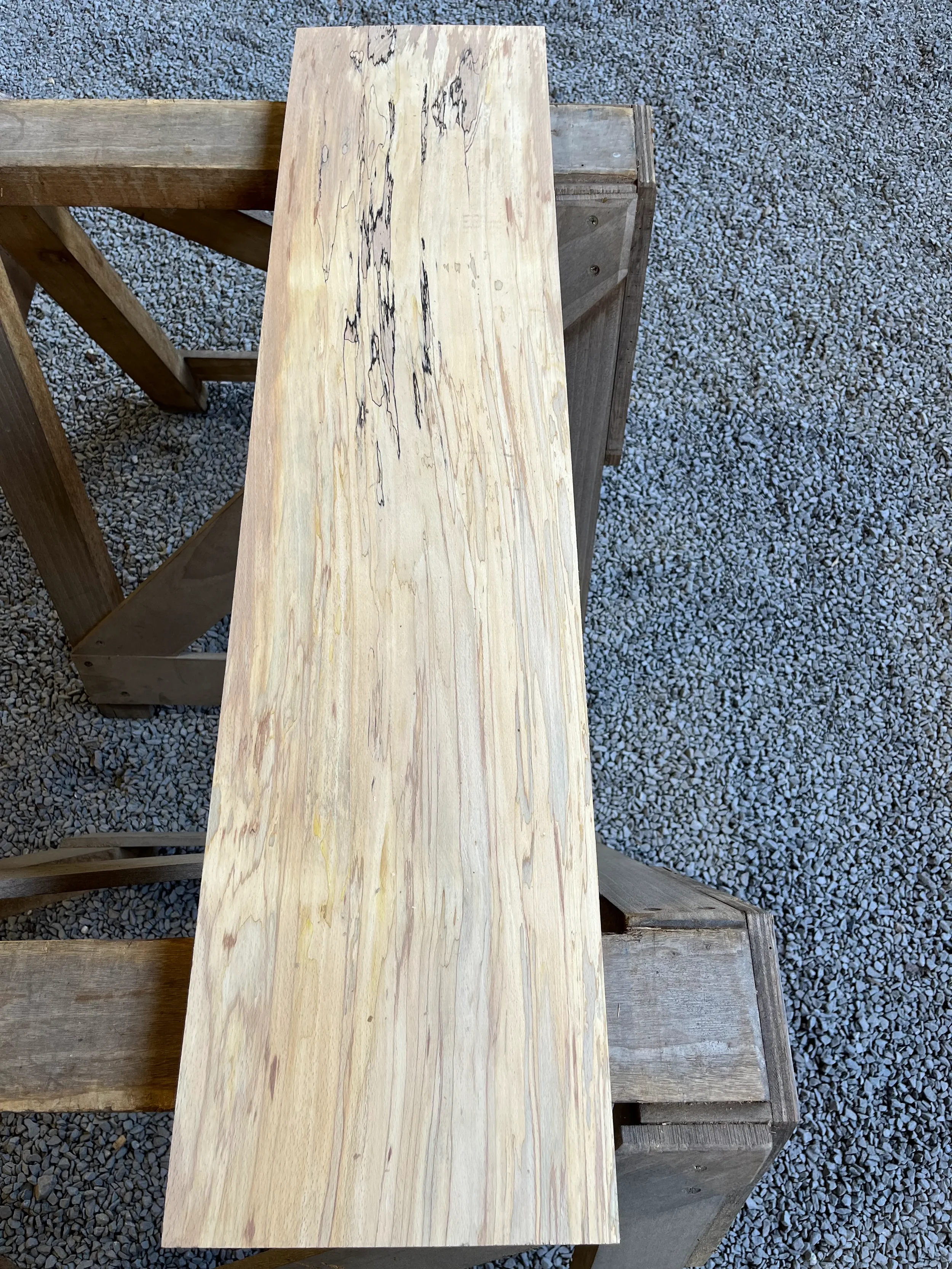 spalted beech se246.1.webp