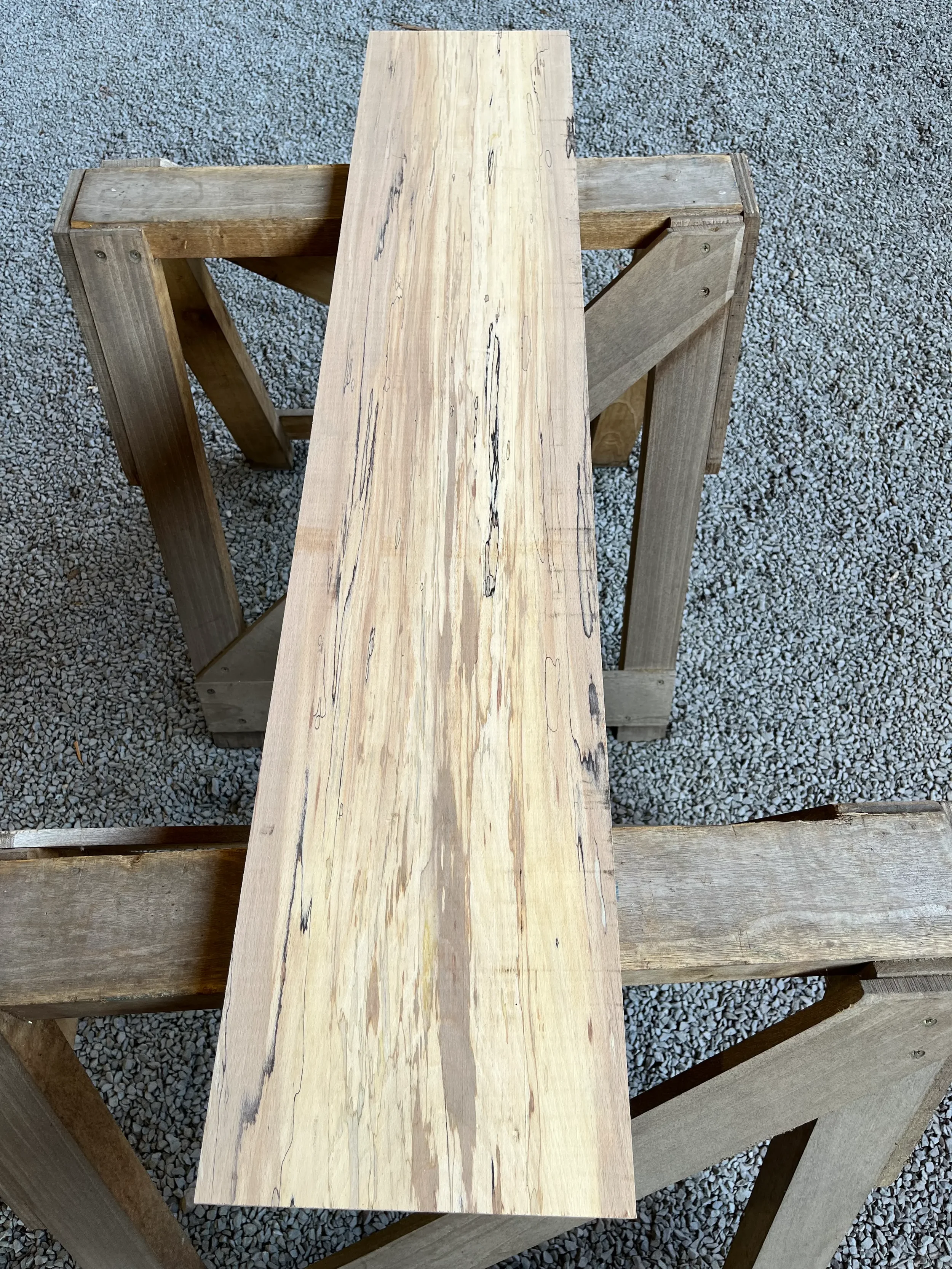 spalted beech se232.1.webp