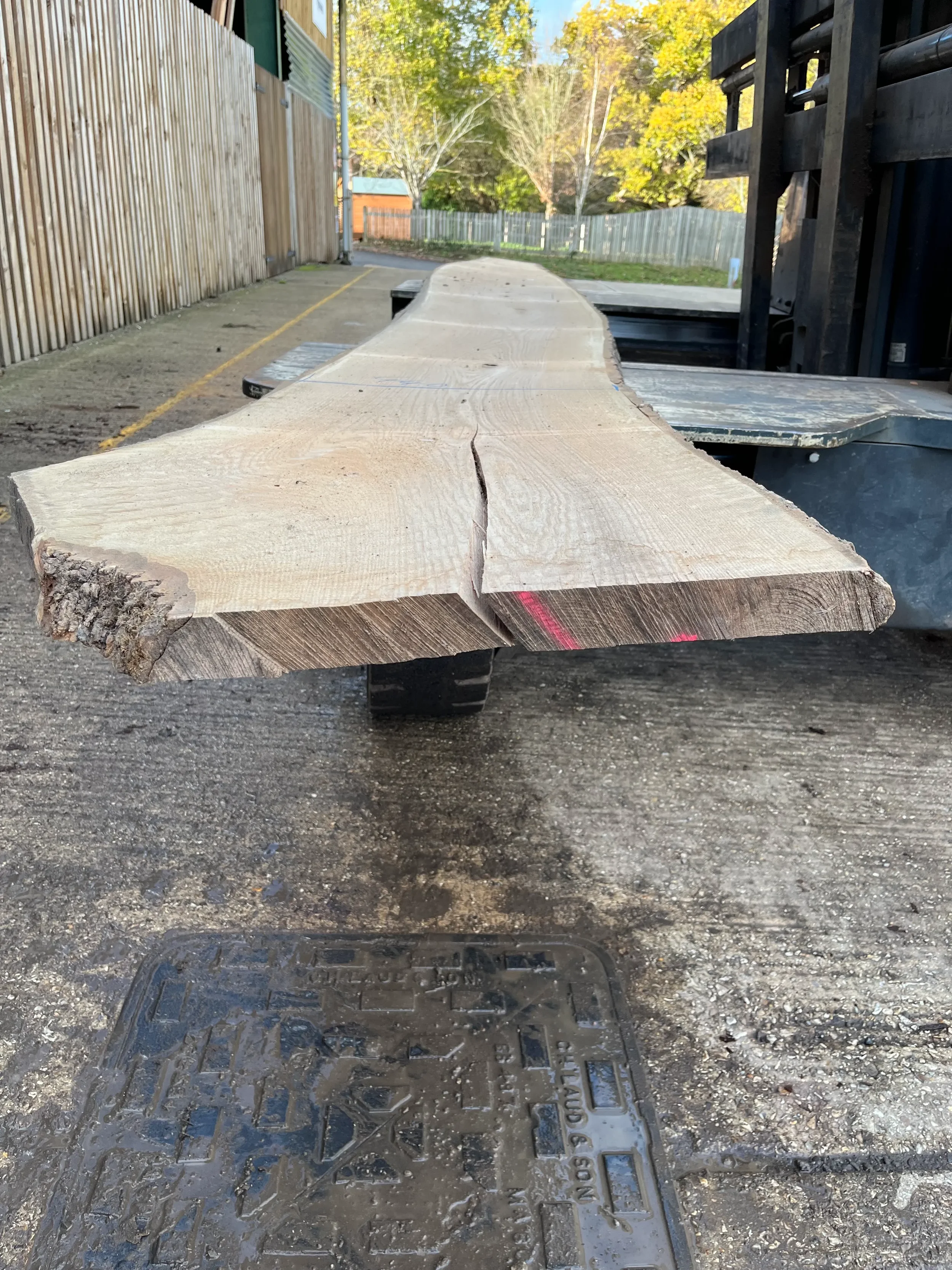 Ash live edge board 206513 2.webp