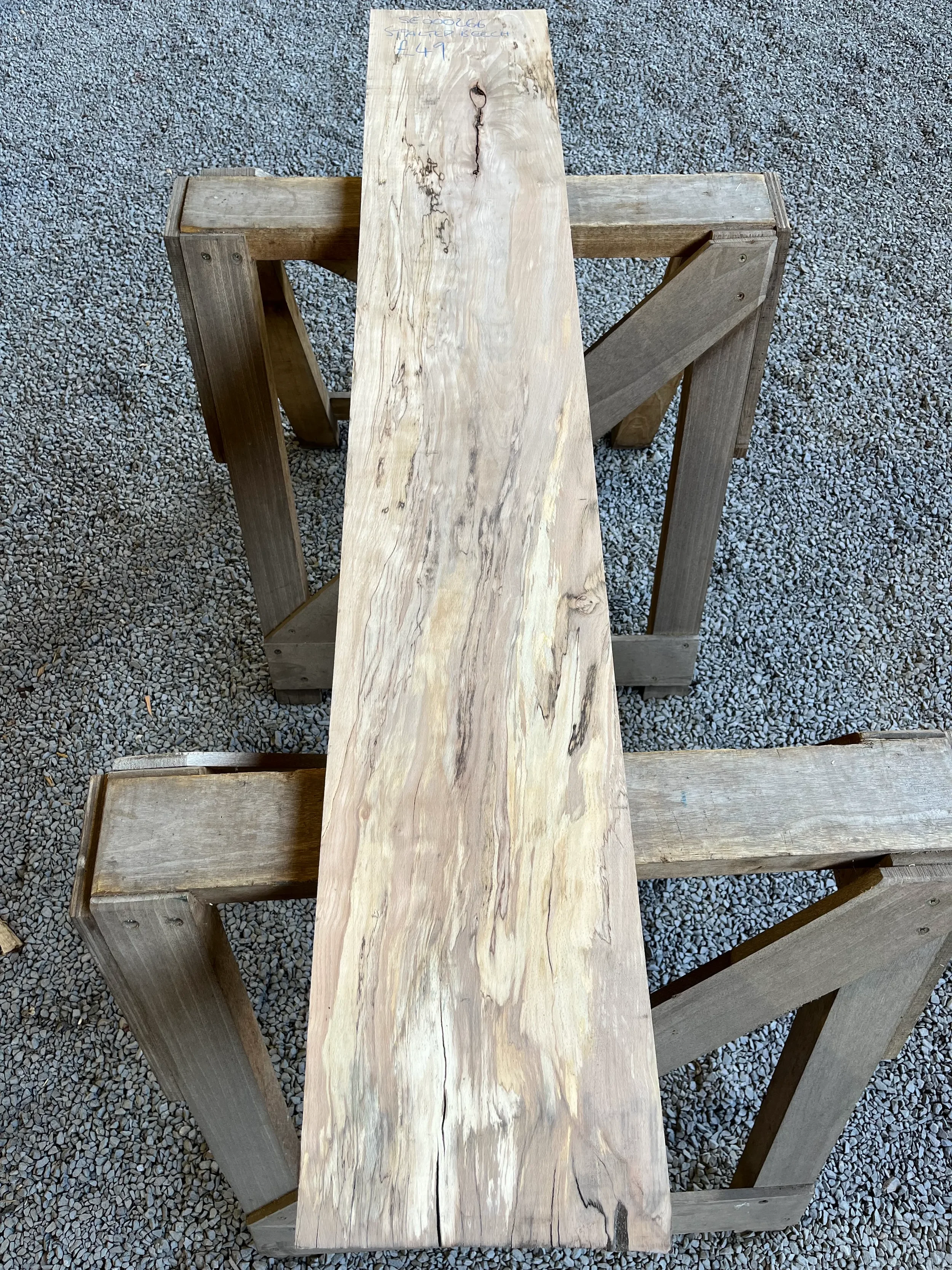 spalted beech se266.webp
