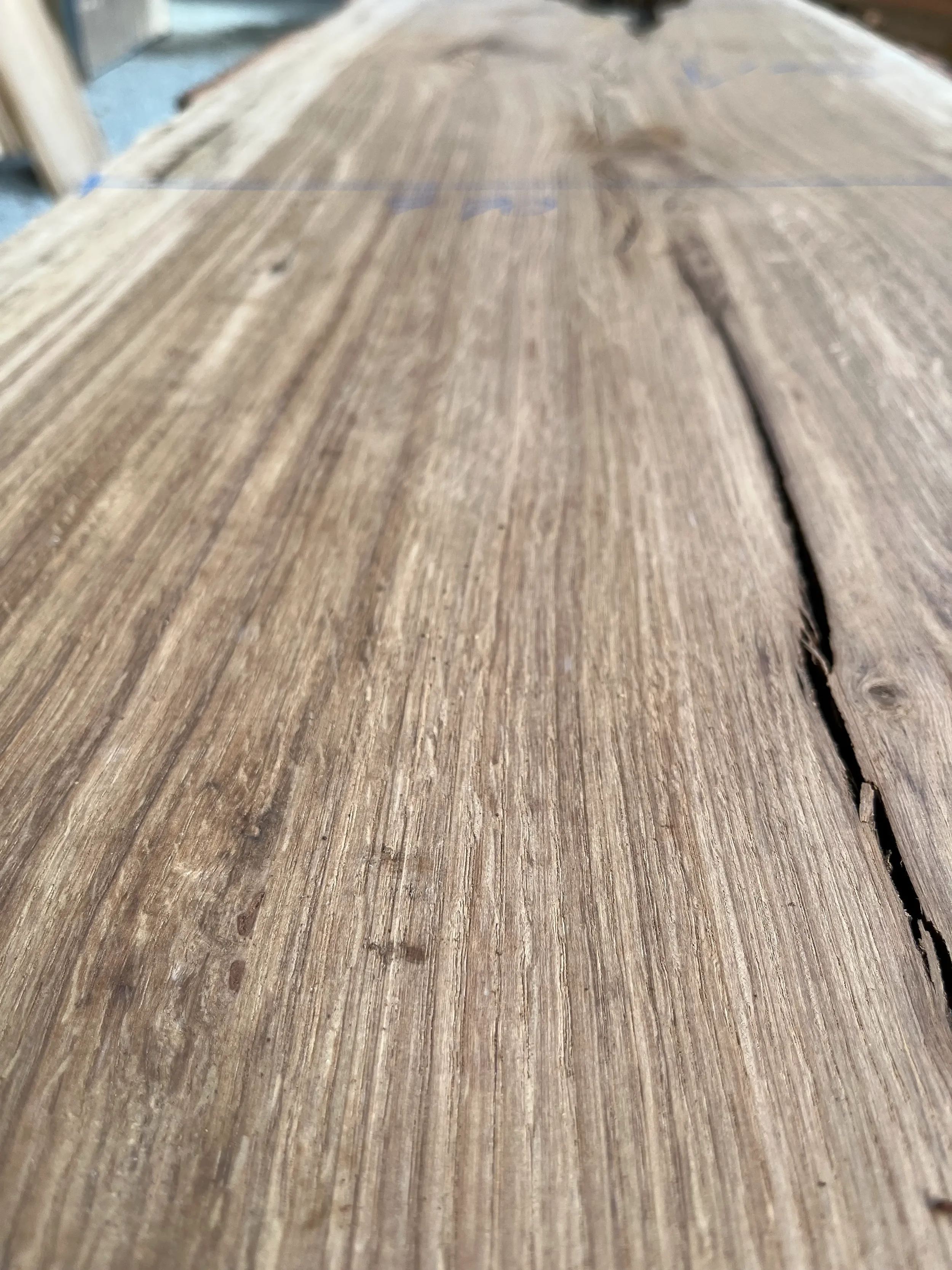brown oak tt000463.1.webp