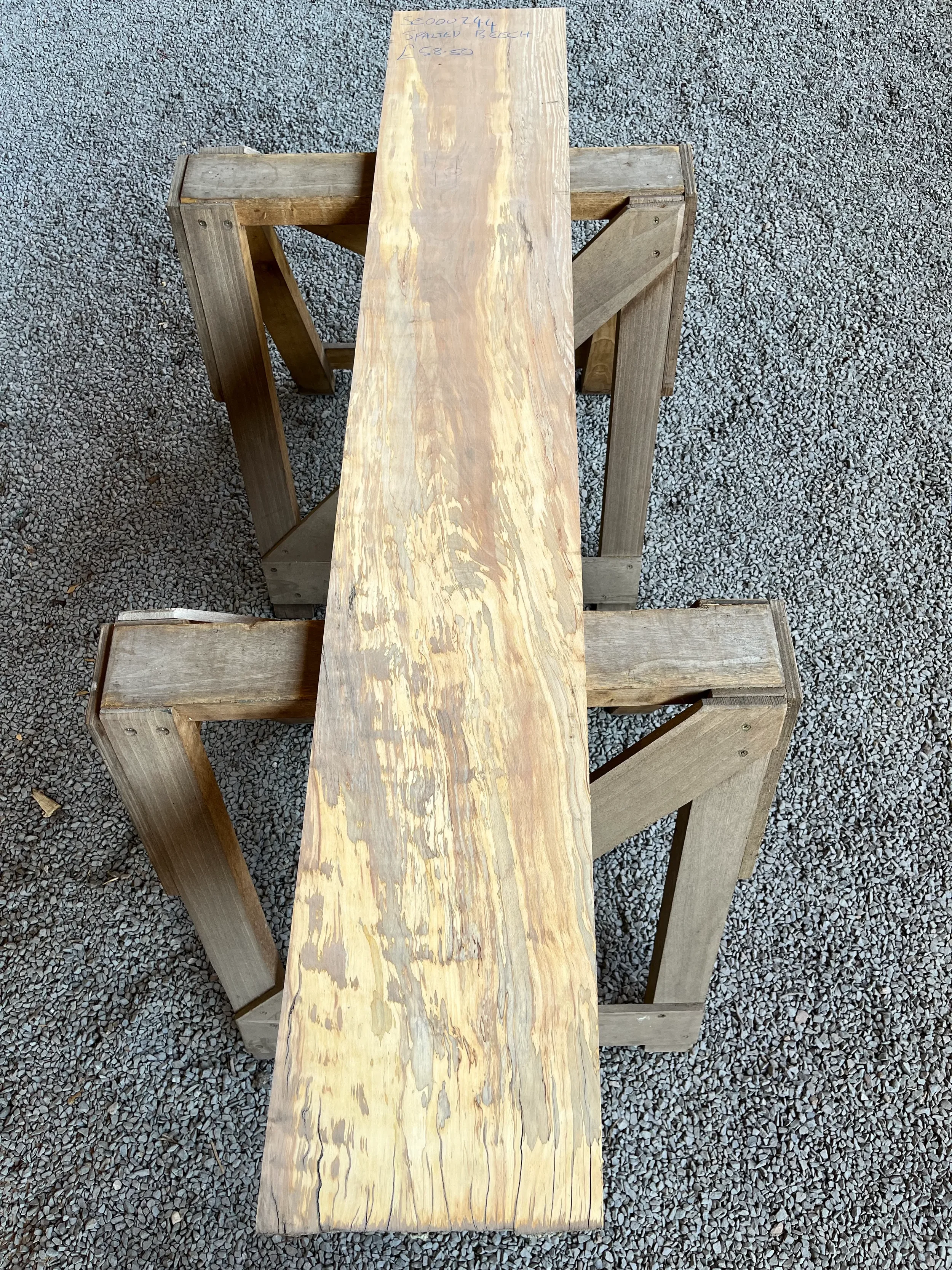 spalted beech se244.webp