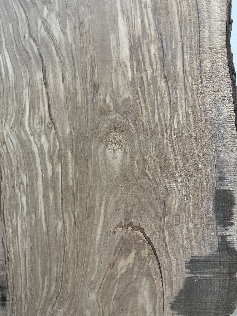 live edge olive tt000192.2.jpeg