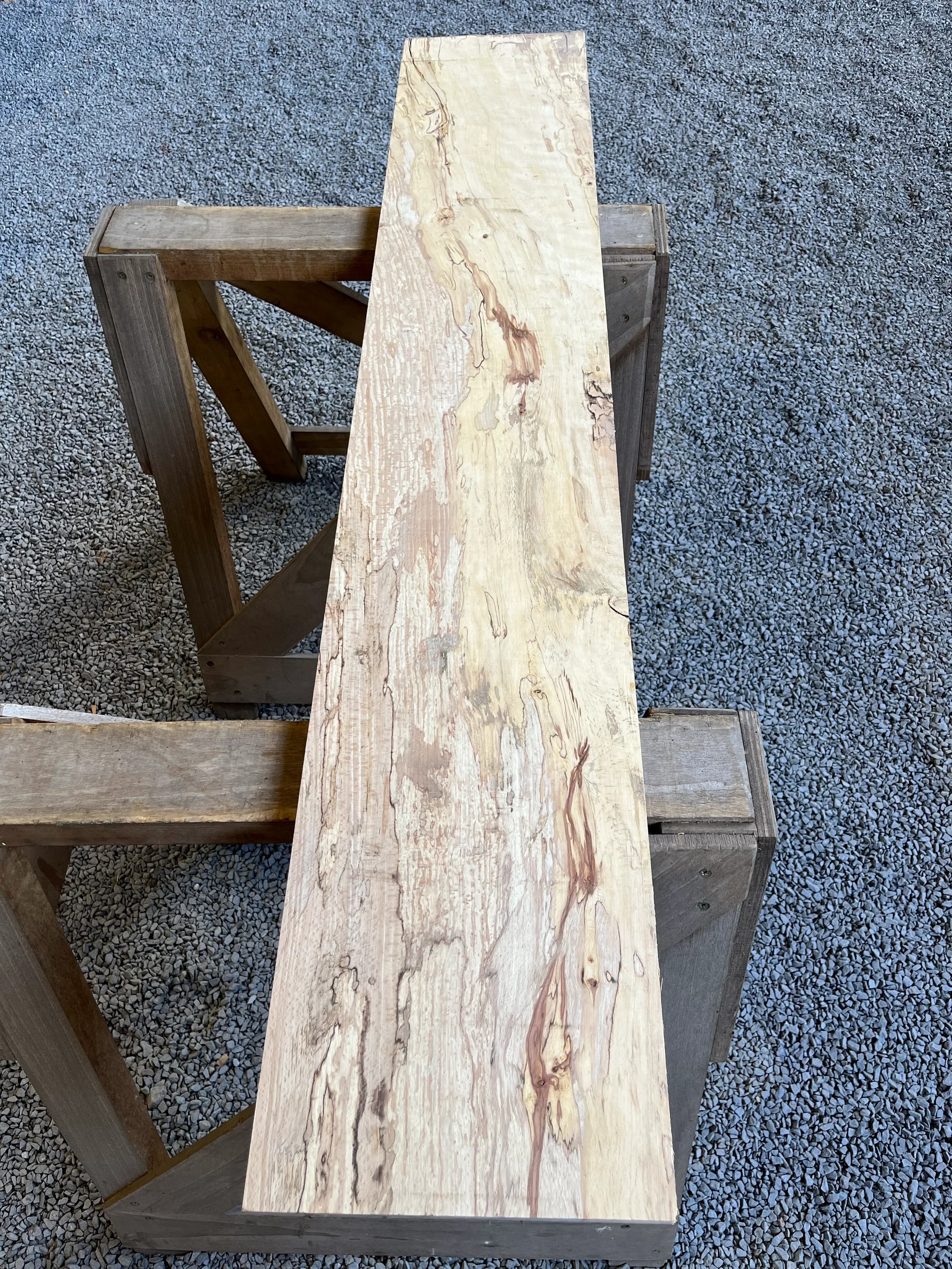 spalted beech se267.1.webp