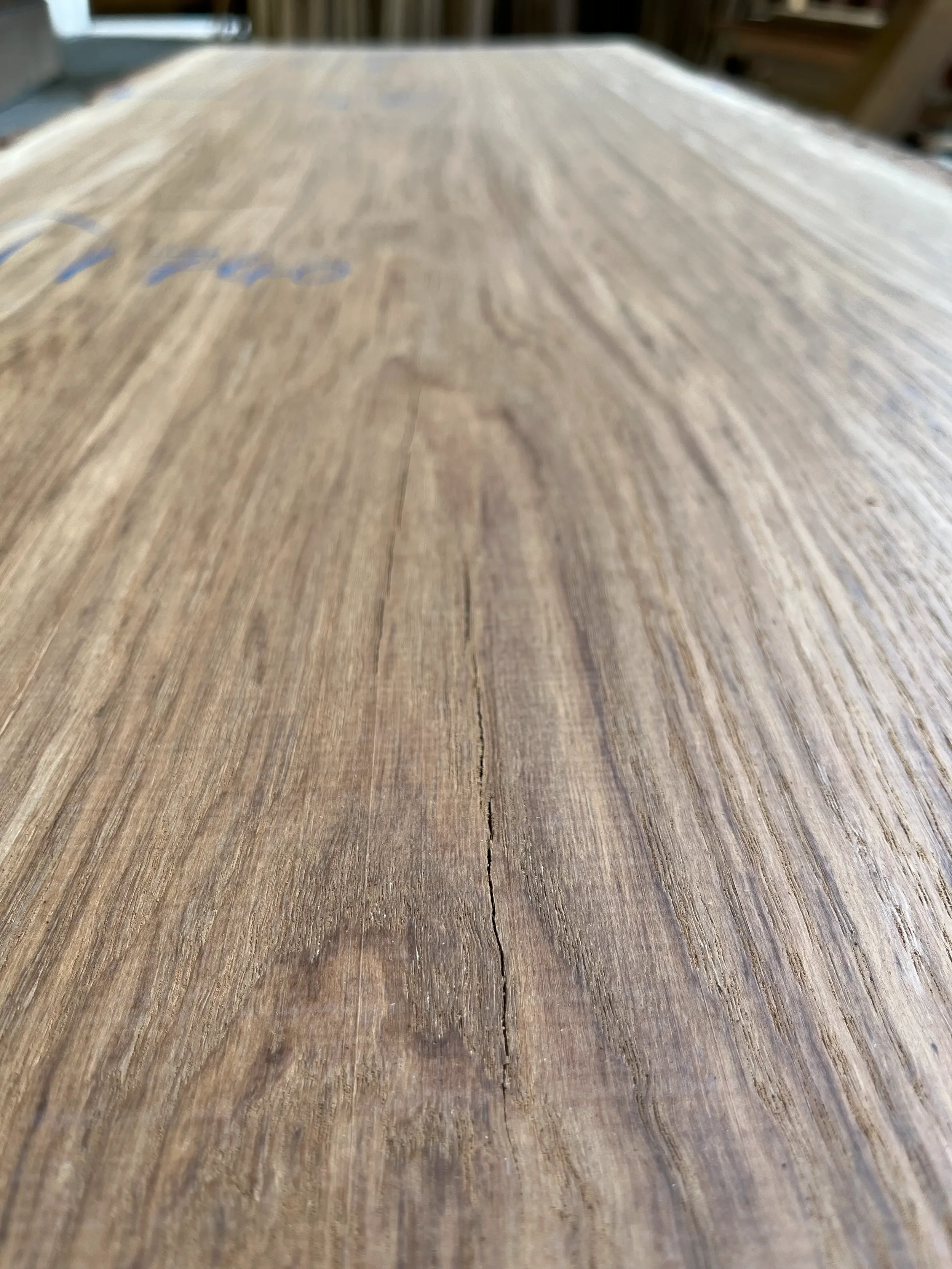 brown oak tt000476.1.webp