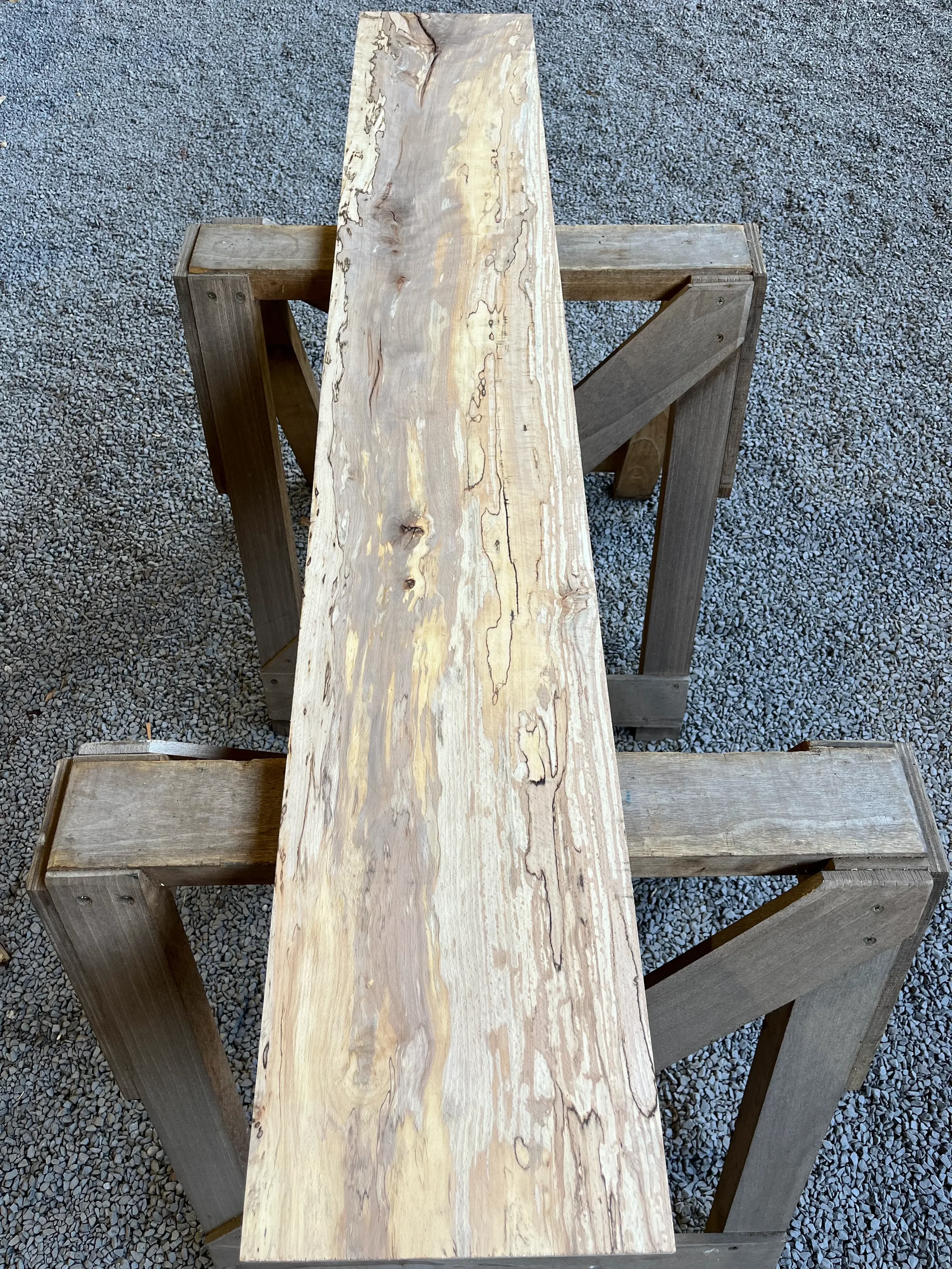 spalted beech se273.2.webp