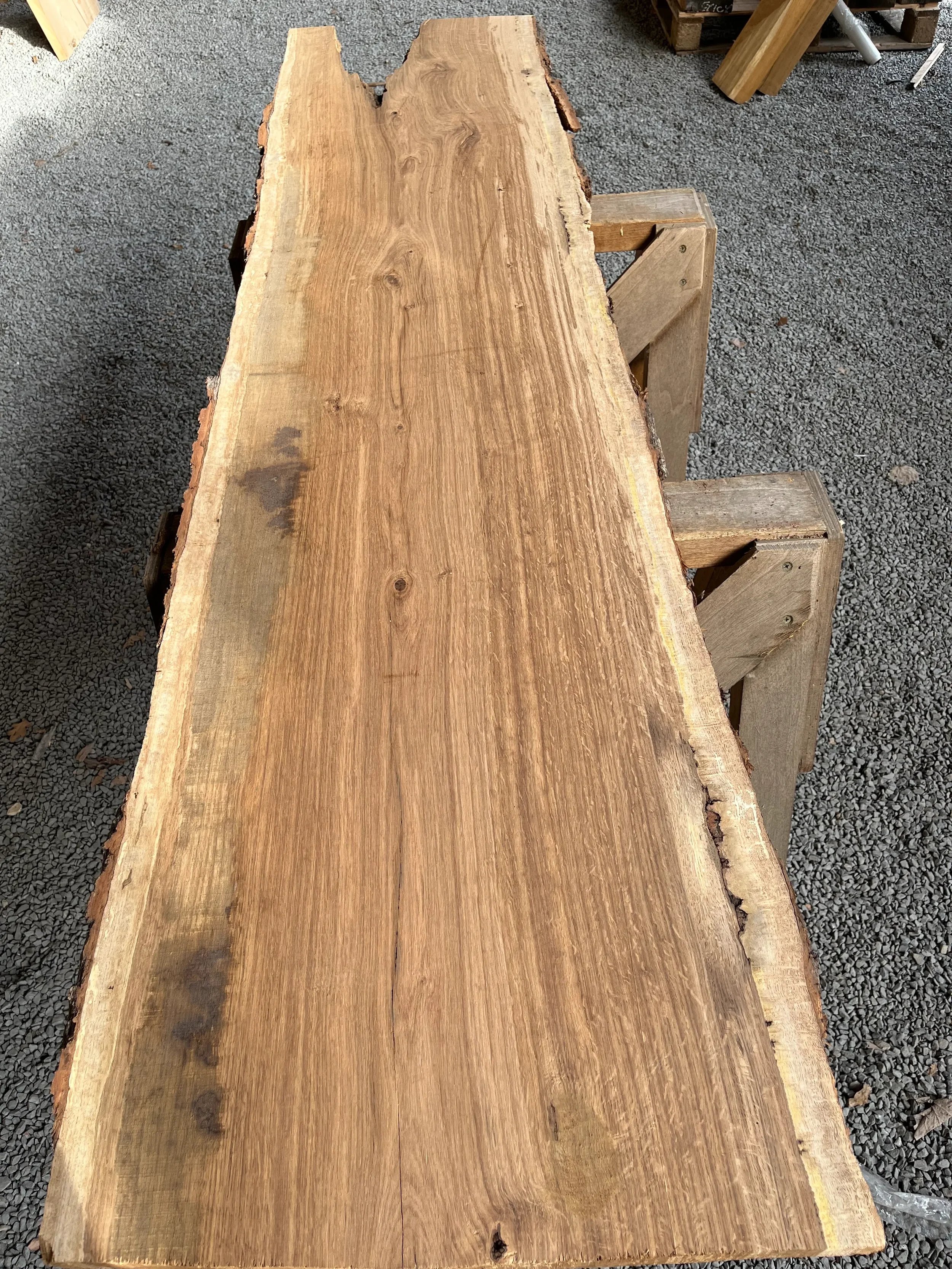 brown oak tt000468.1.webp
