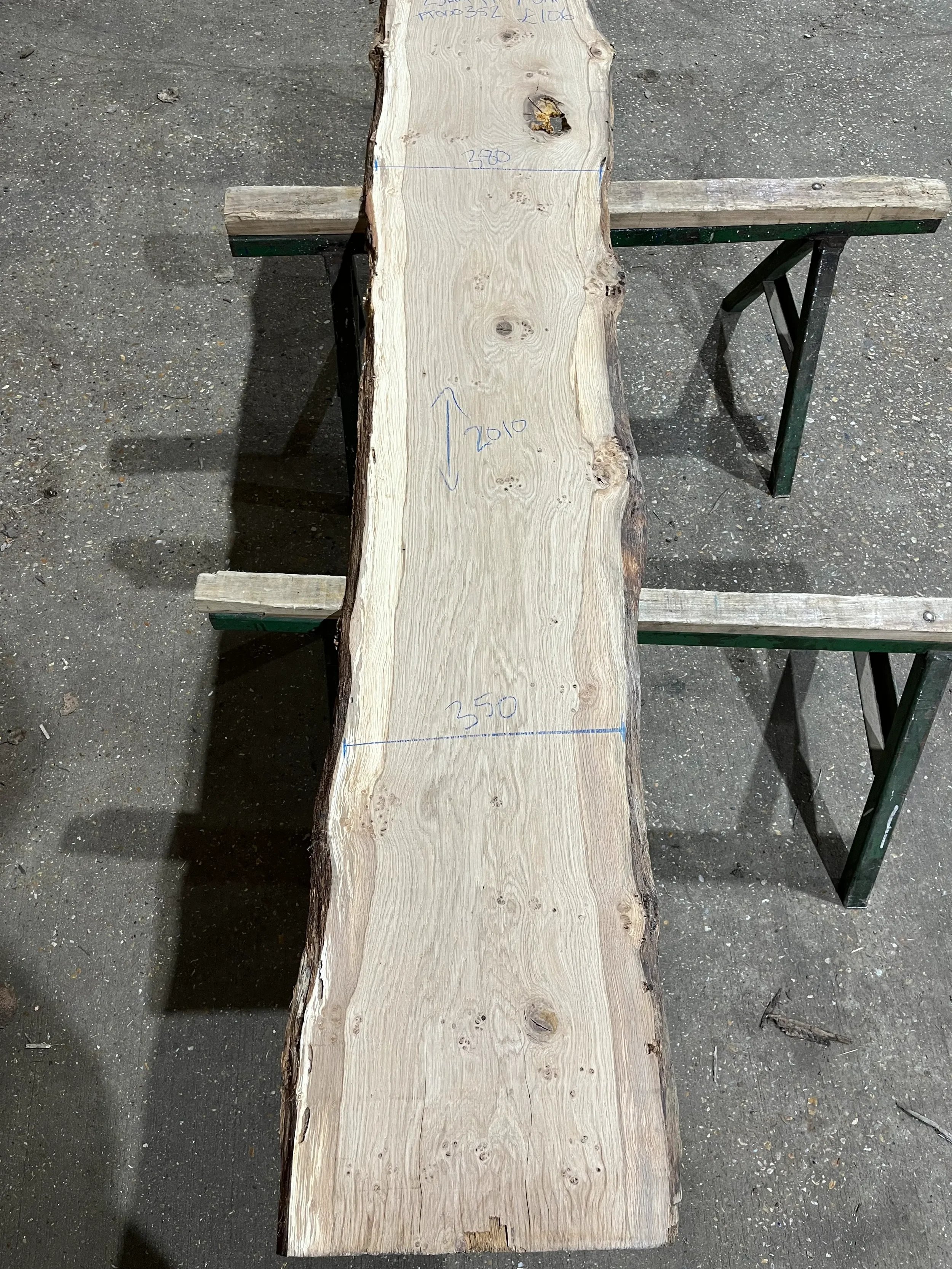 pippy tt000352.2.webp