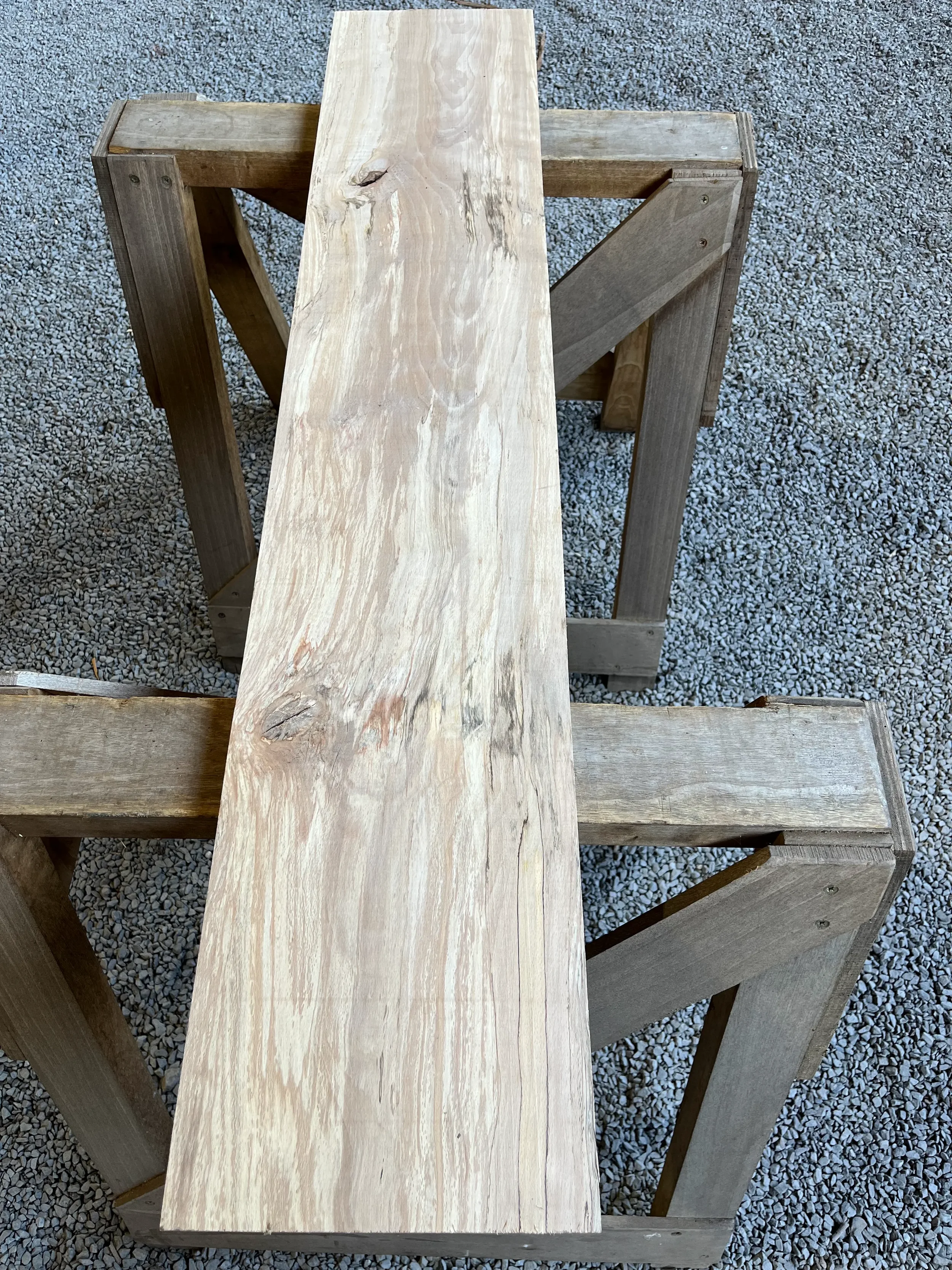 spalted beech se259.1.webp