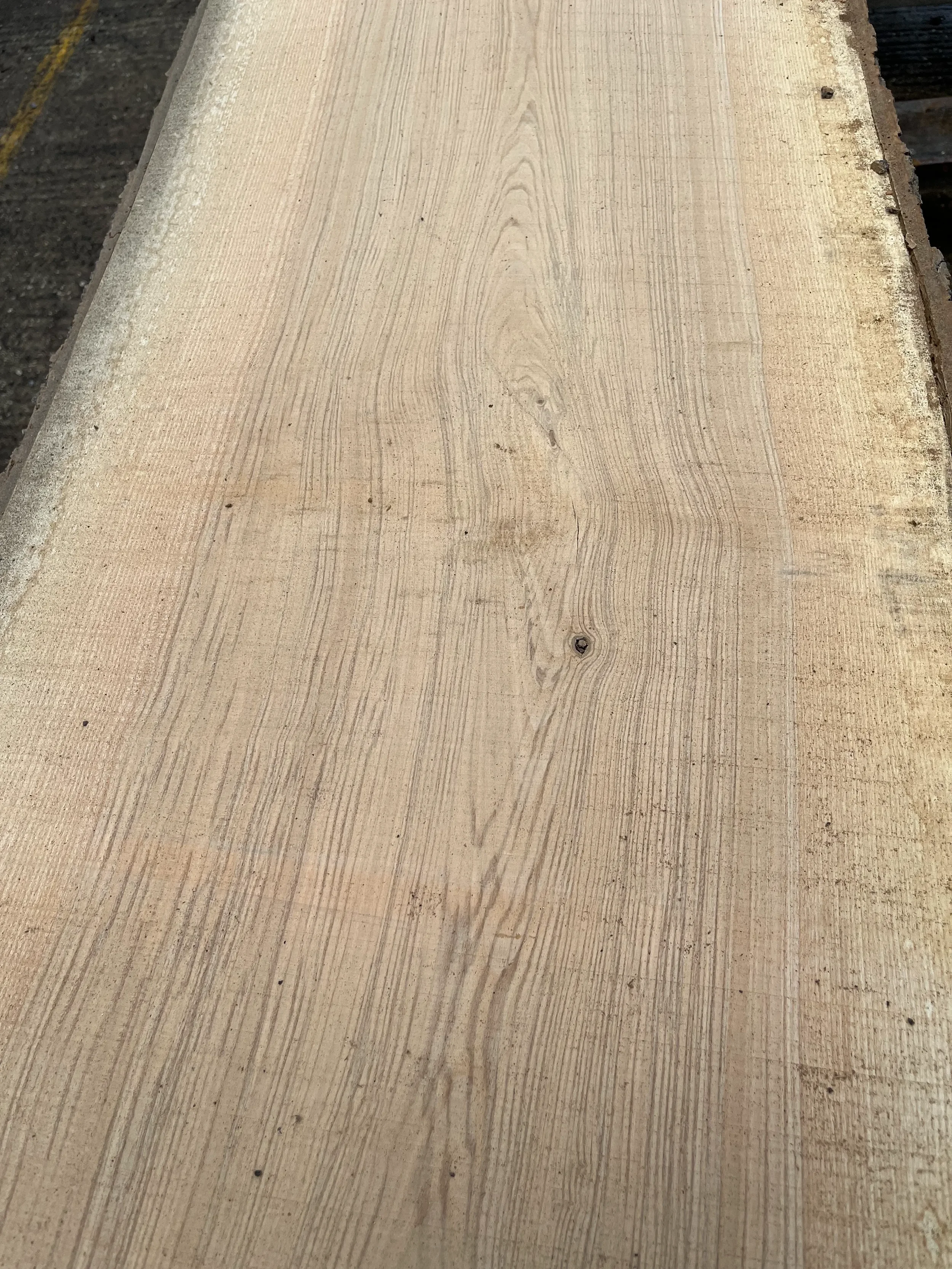 Ash live edge board 206511 3.webp