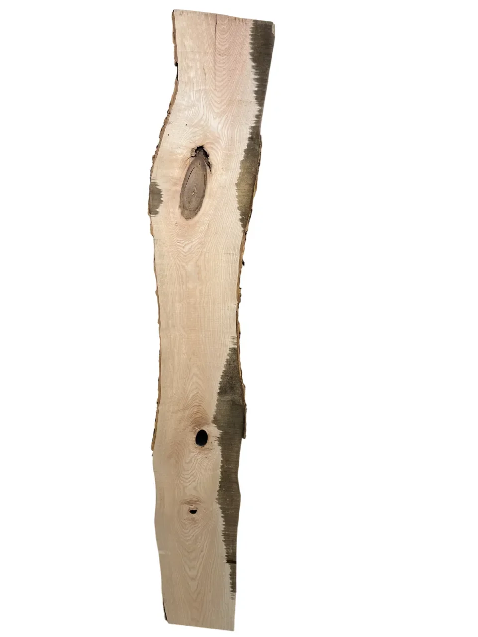 ash tt000316.1-Photoroom.webp