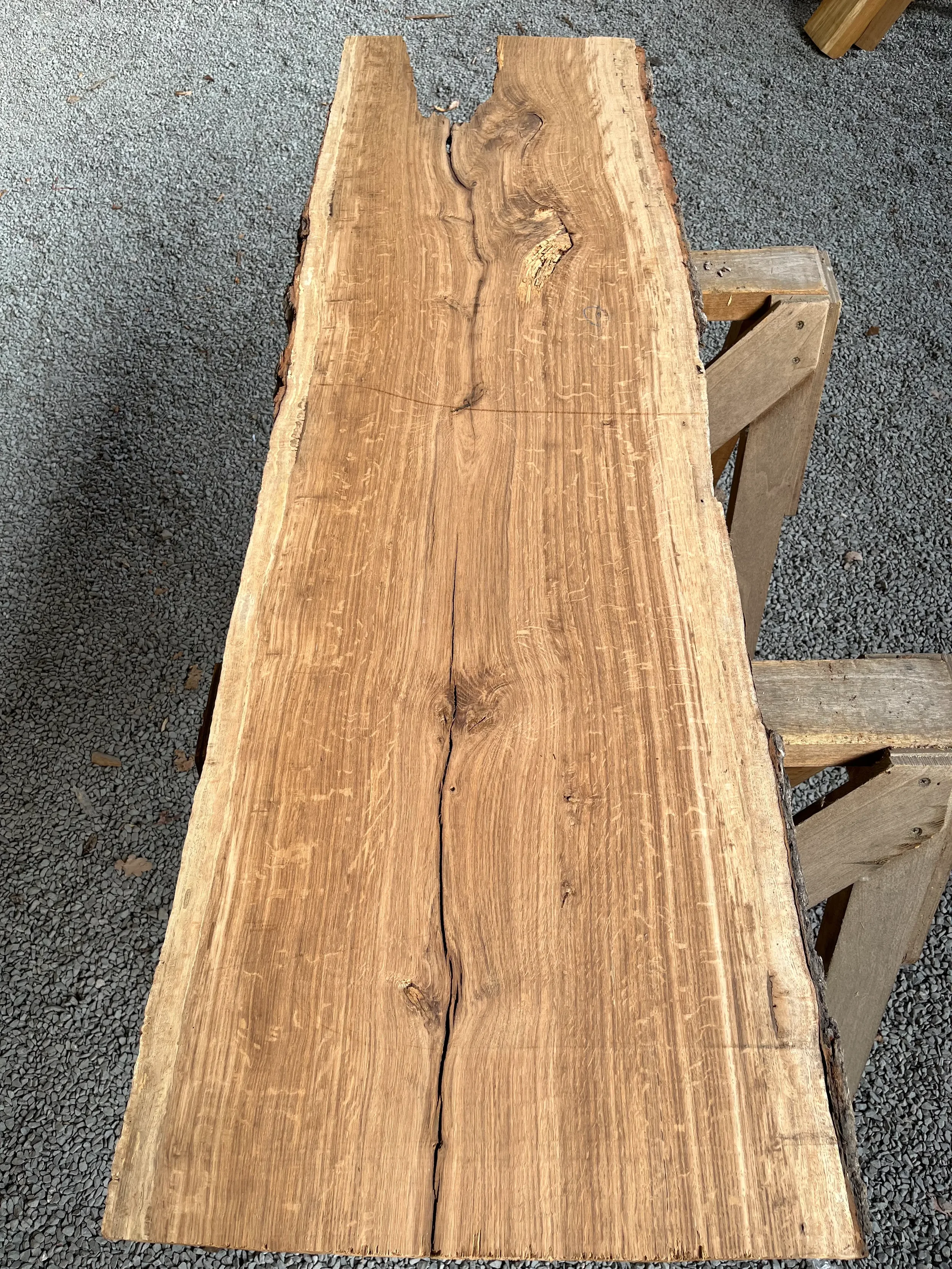 brown oak tt000463.2.webp