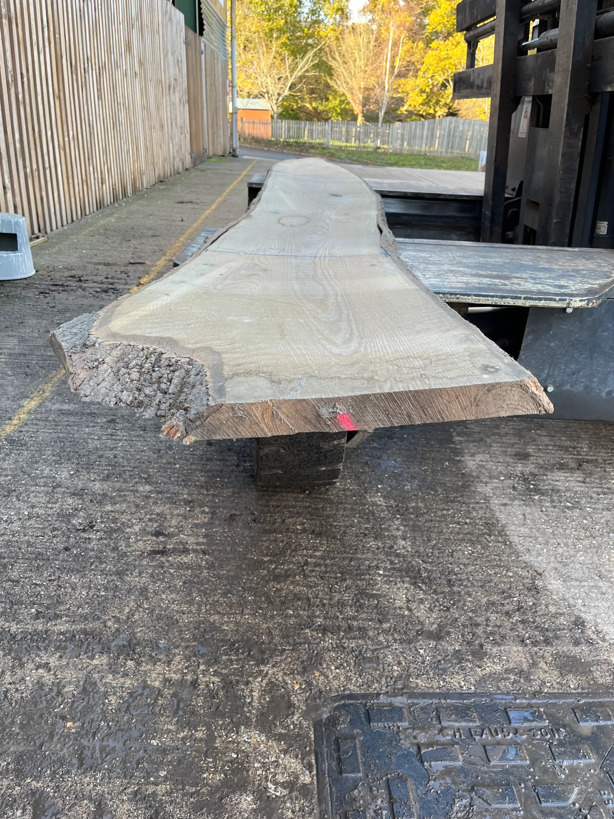 Ash live edge board 206514 2.webp