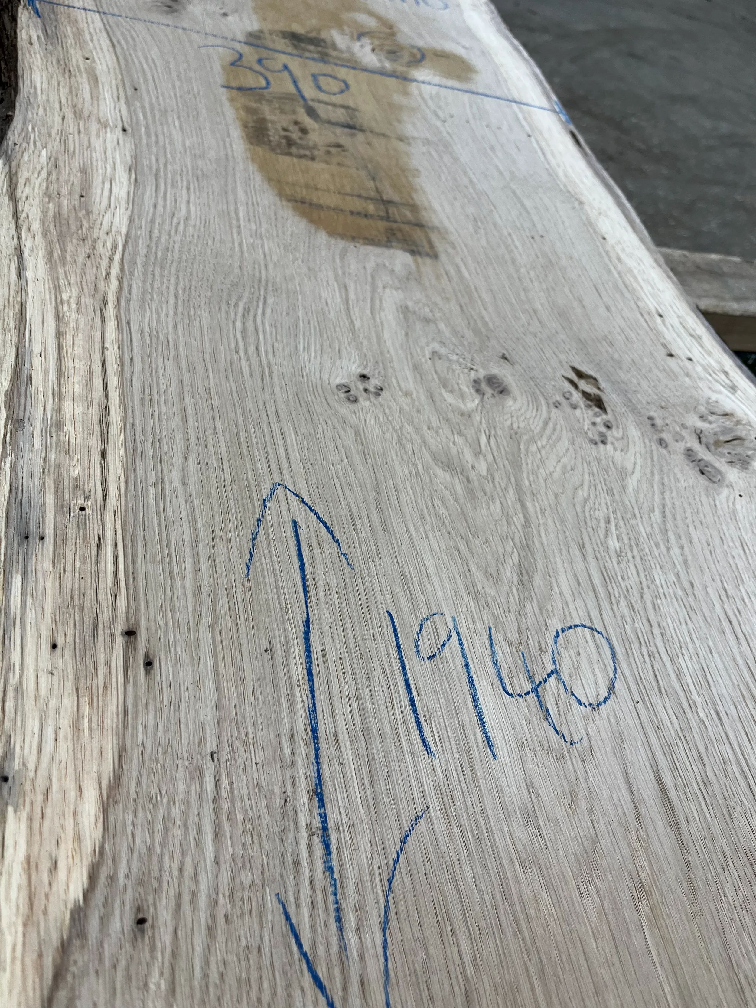 pippy tt000354.1.webp