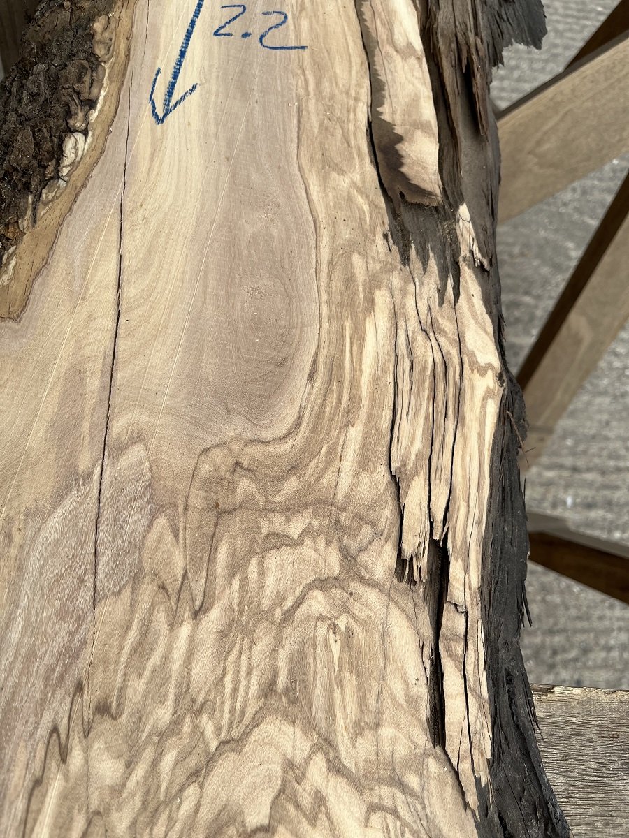 live edge olive tt000184.2.jpeg