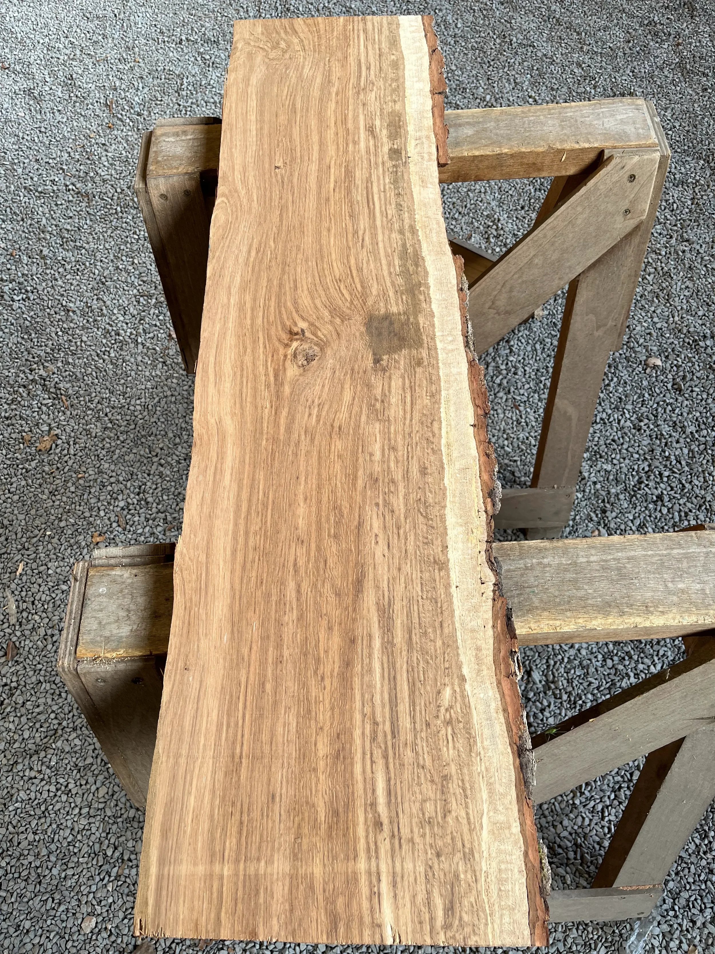 brown oak tt000459.1.webp