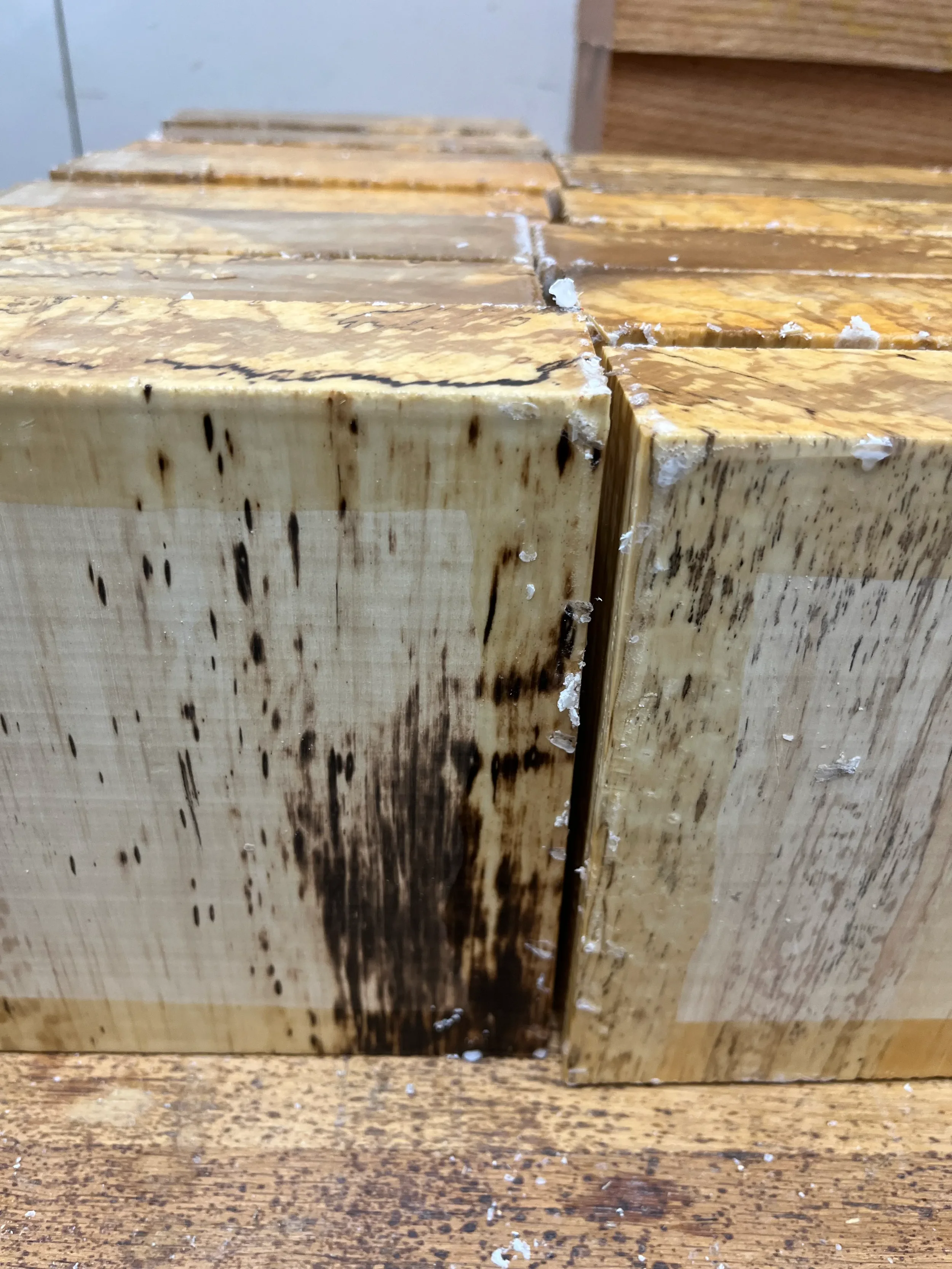 spalted hornbeam turning blank.webp