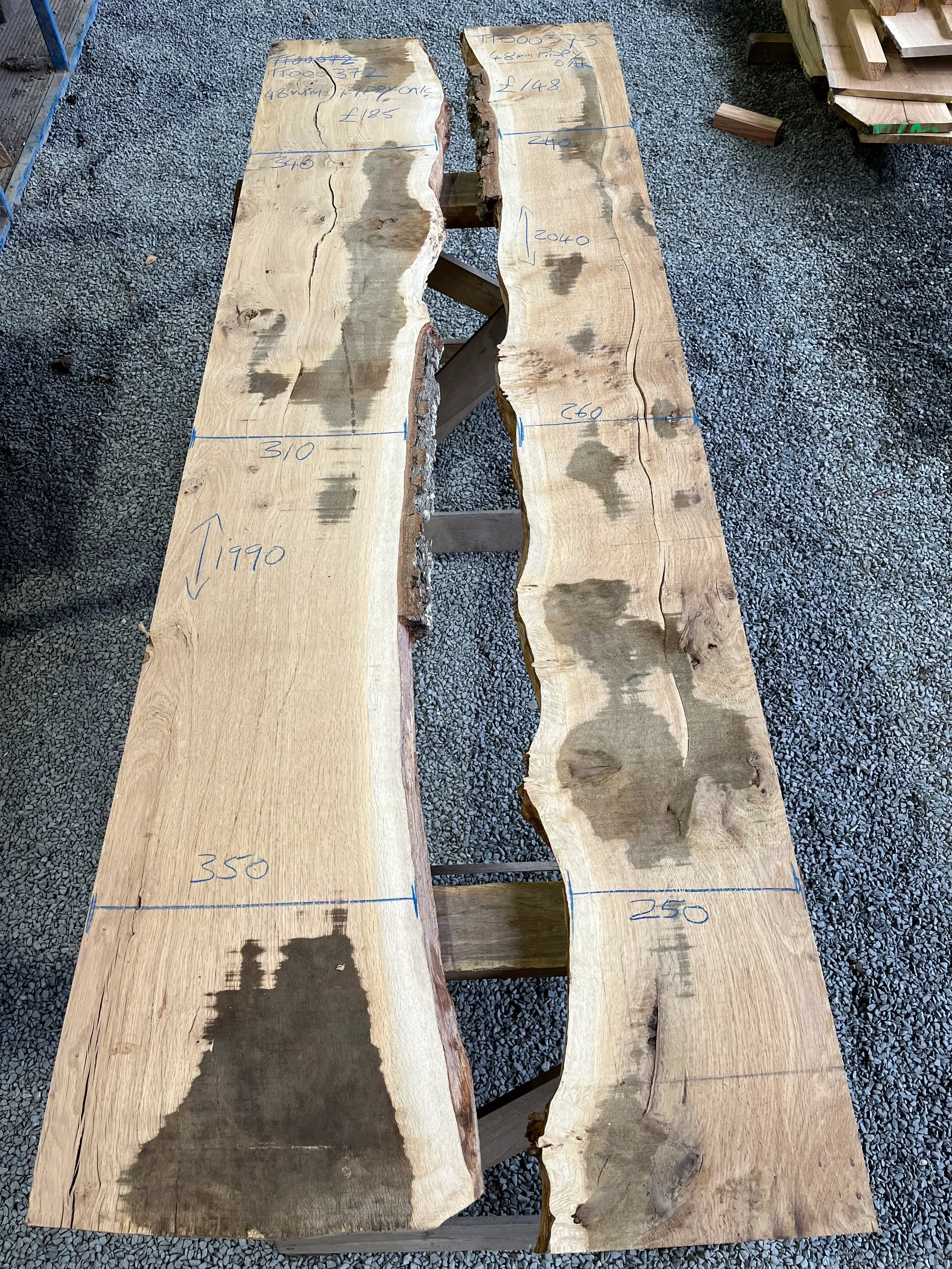 pippy tt000372&373.webp