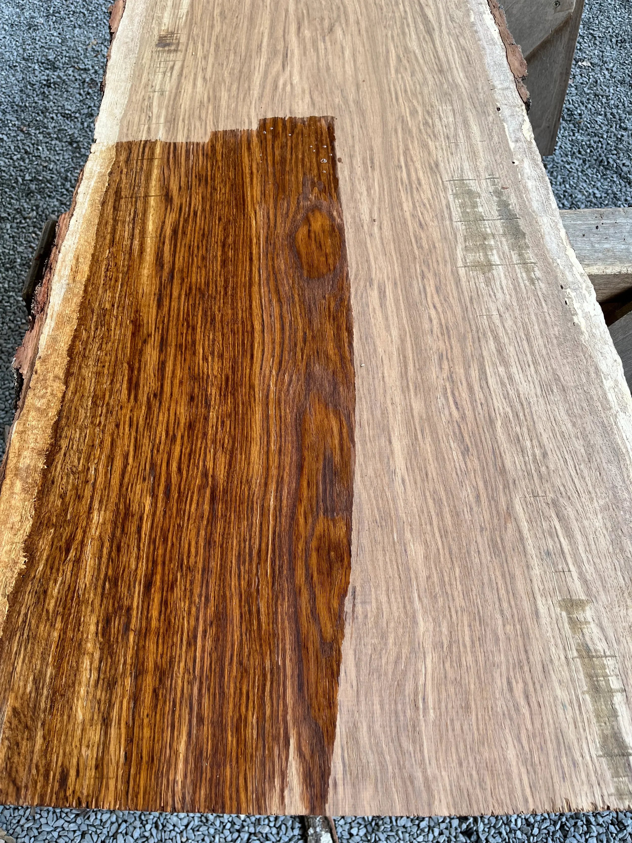 brown oak tt000473.2.webp