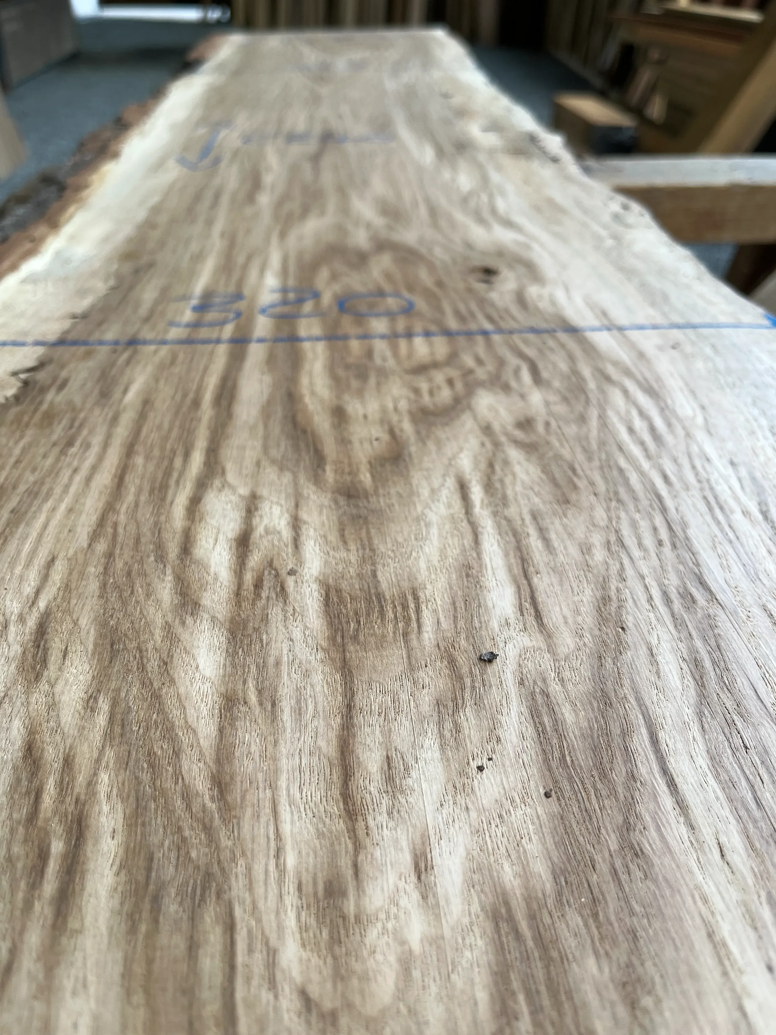 brown oak tt000478.1.webp