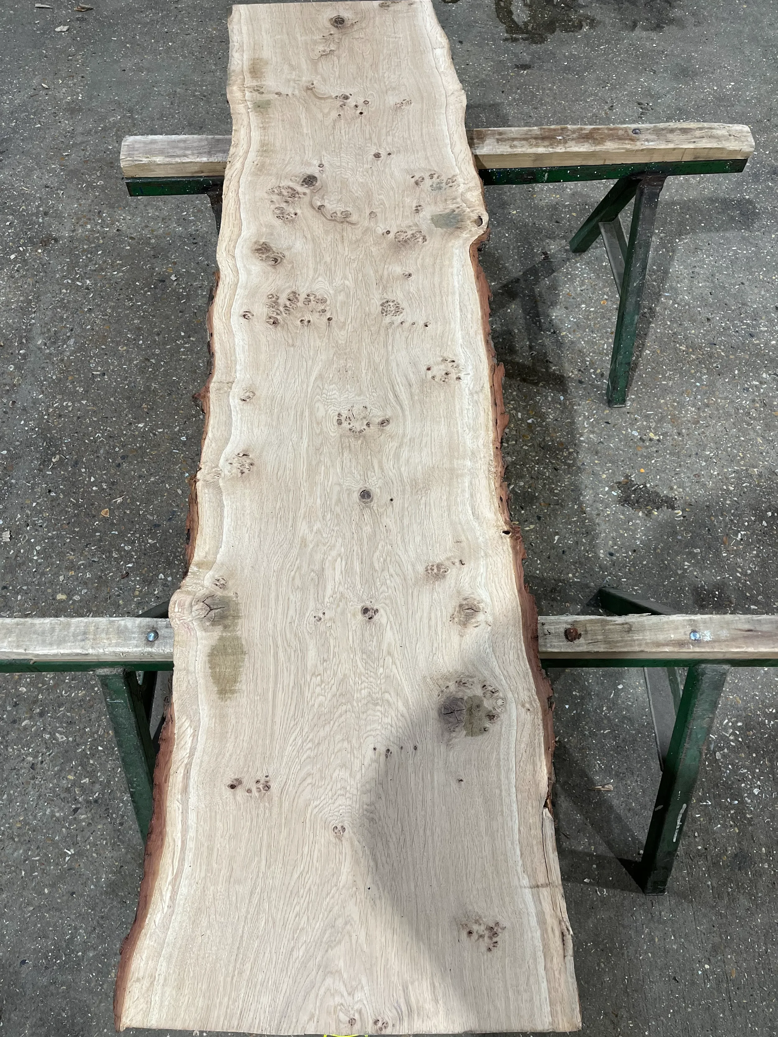 pippy tt000337.1.webp